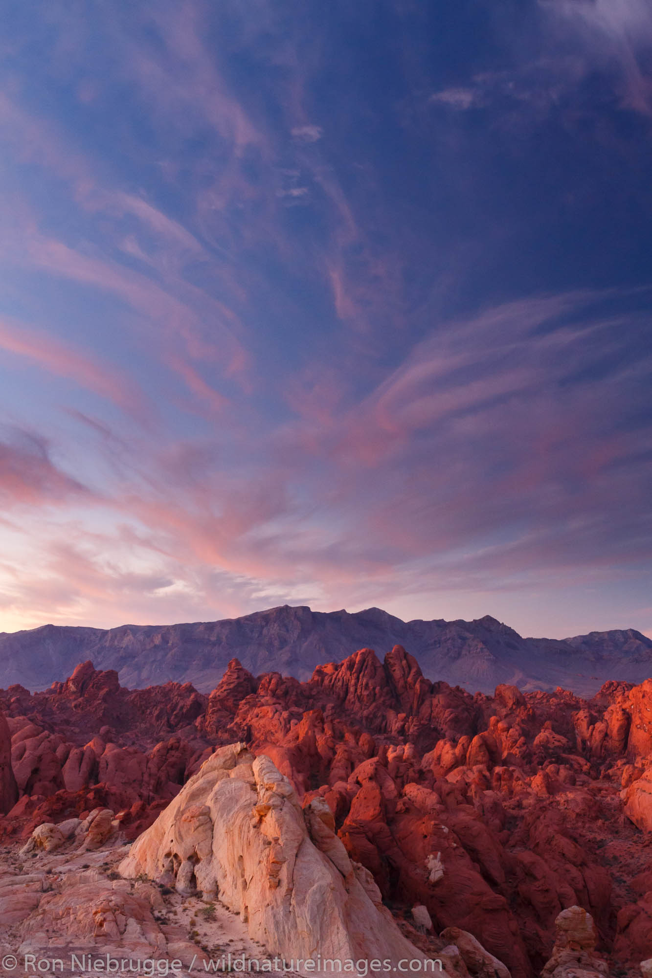 Sunrise over Silica Dome-Fire Canyon, Valley of Fire State Park, about 1 hour from Las Vegas, Nevada