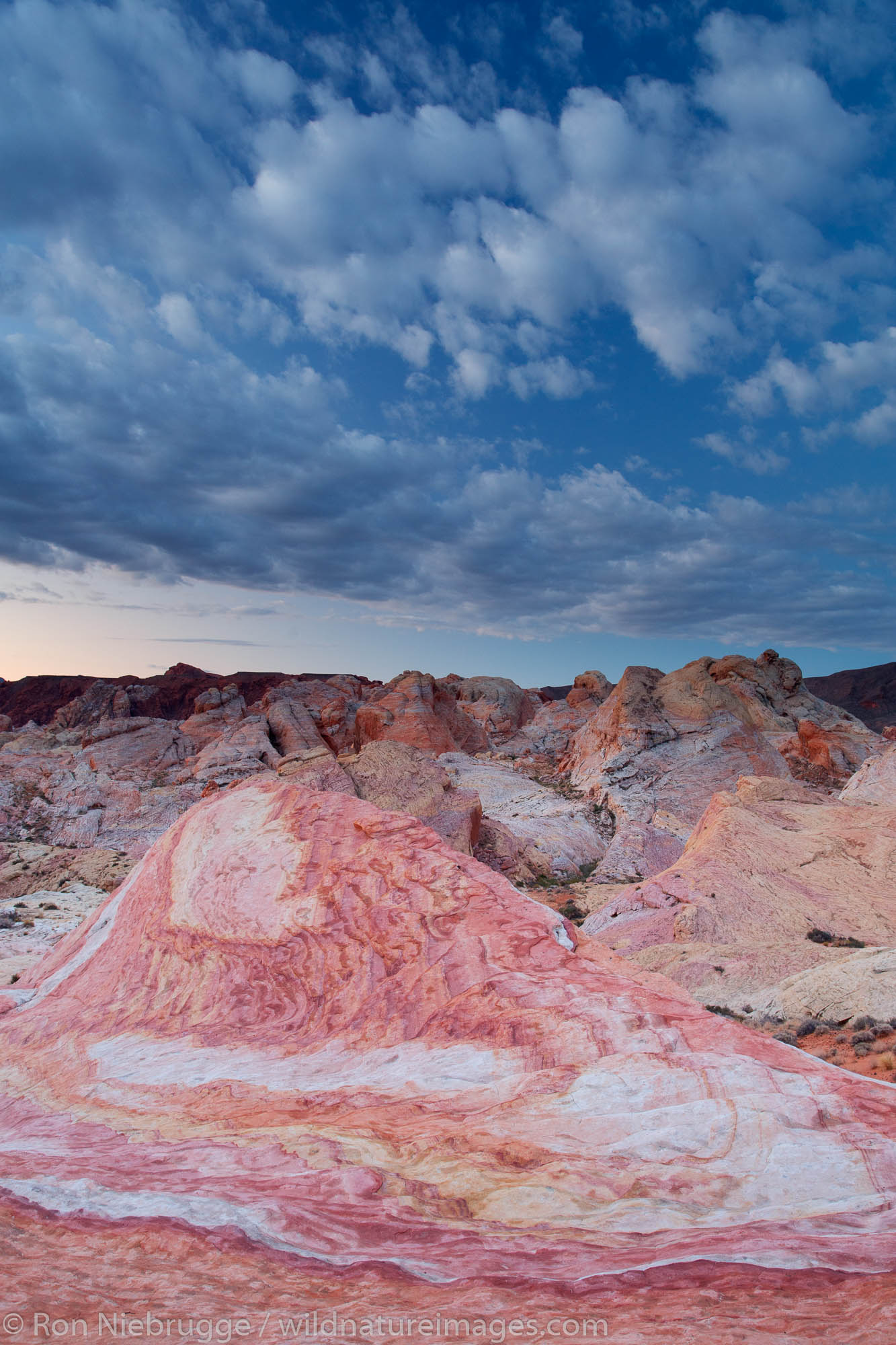 Colorful sandstone, Valley of Fire State Park, near Las Vegas, Nevada