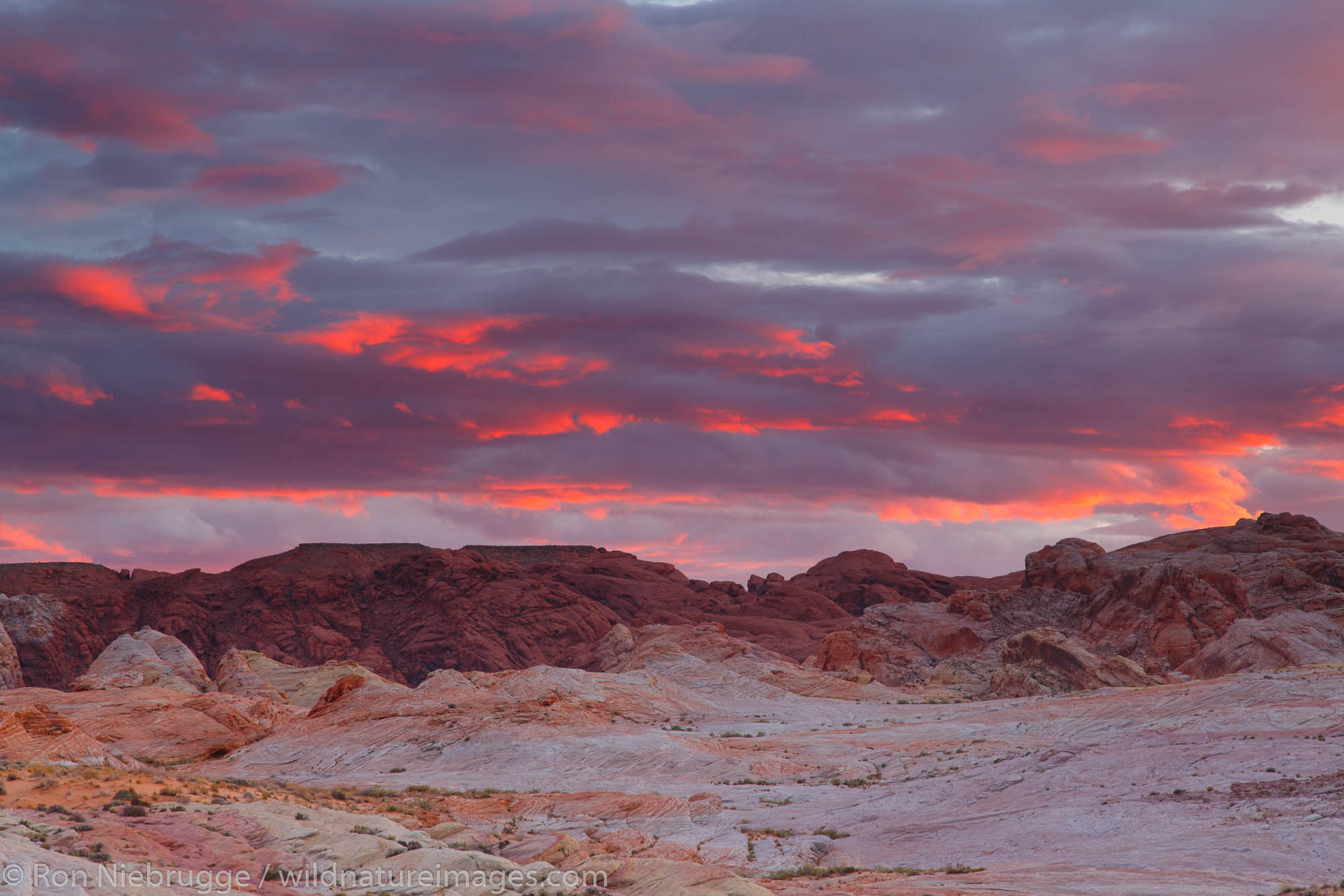 Fire Wave, Valley of Fire State Park, near Las Vegas, Nevada.