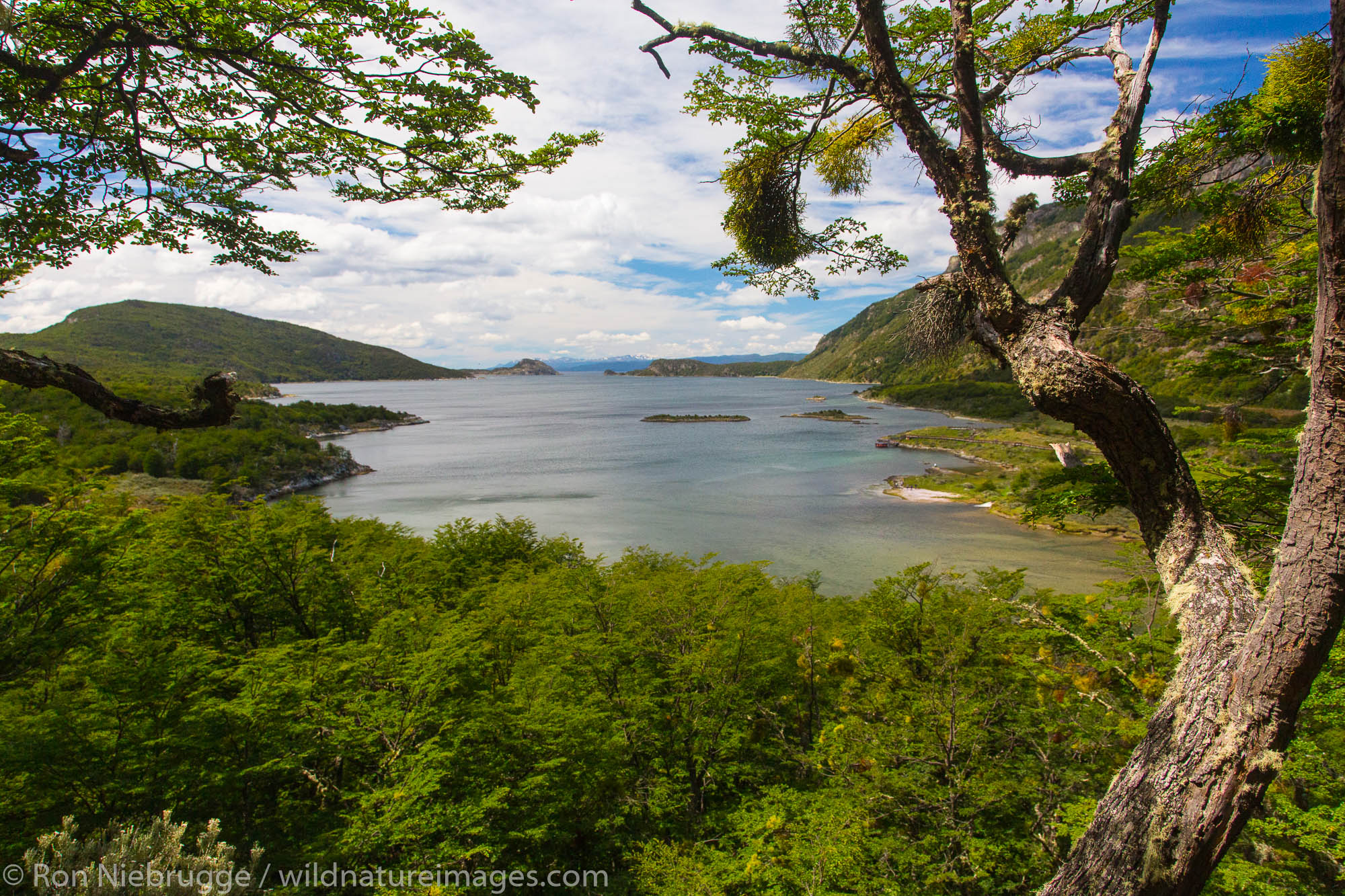 Tierra del Fuego National Park, Ushuaia, Argentina.