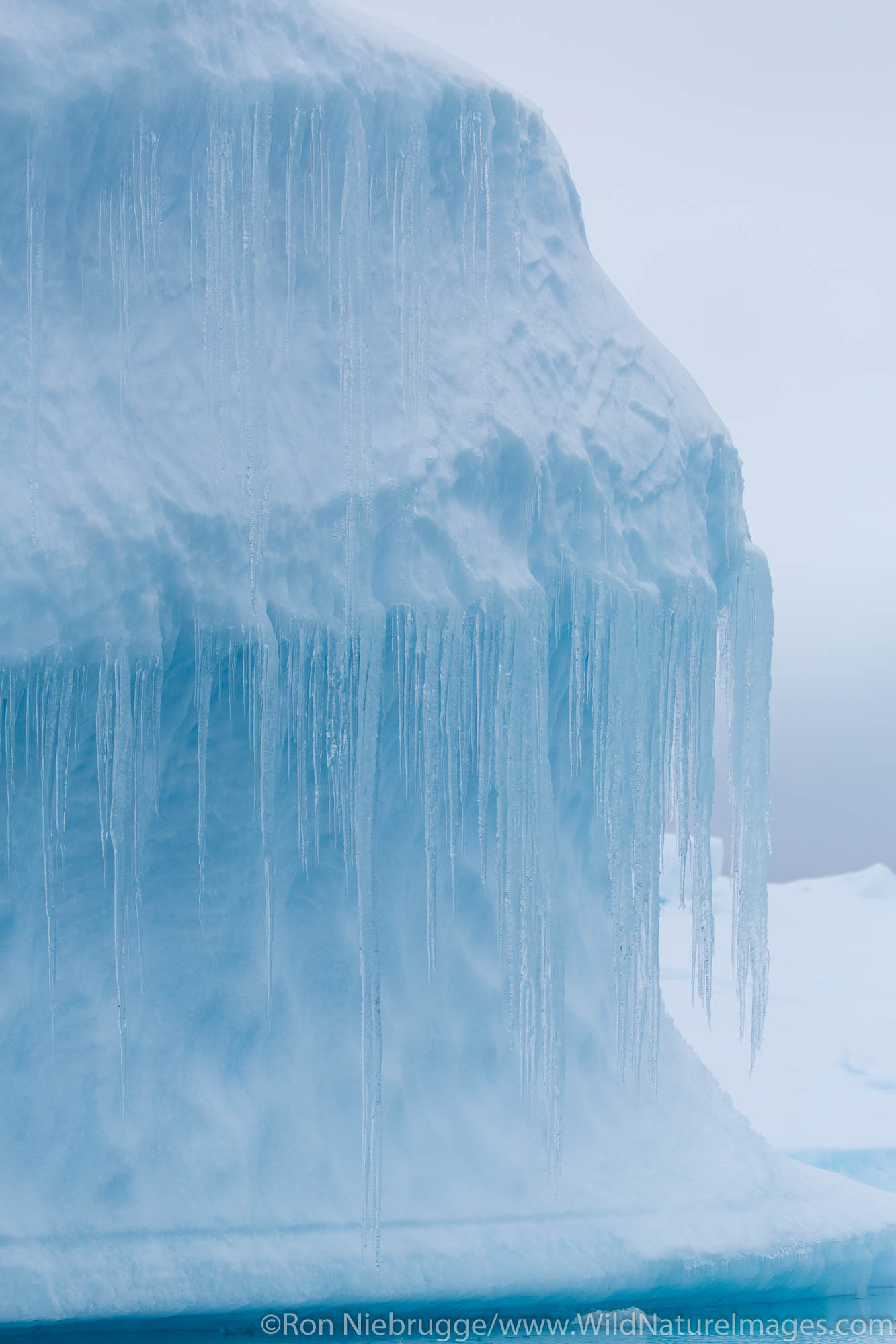 Iceberg, Antarctica.
