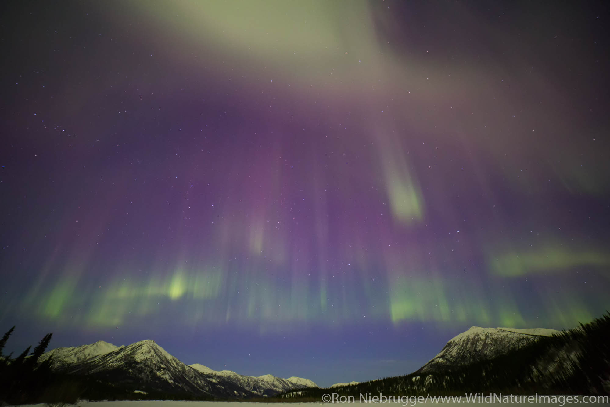 Aurora Borealis over the Brooks Range, Alaska.