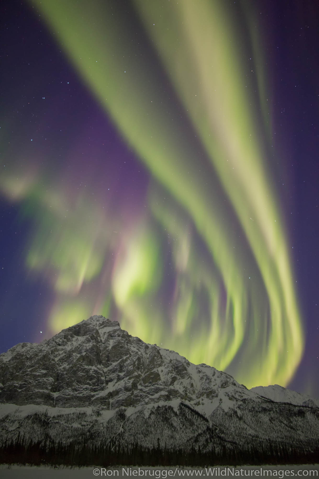 Aurora Borealis over the Brooks Range Alaska.