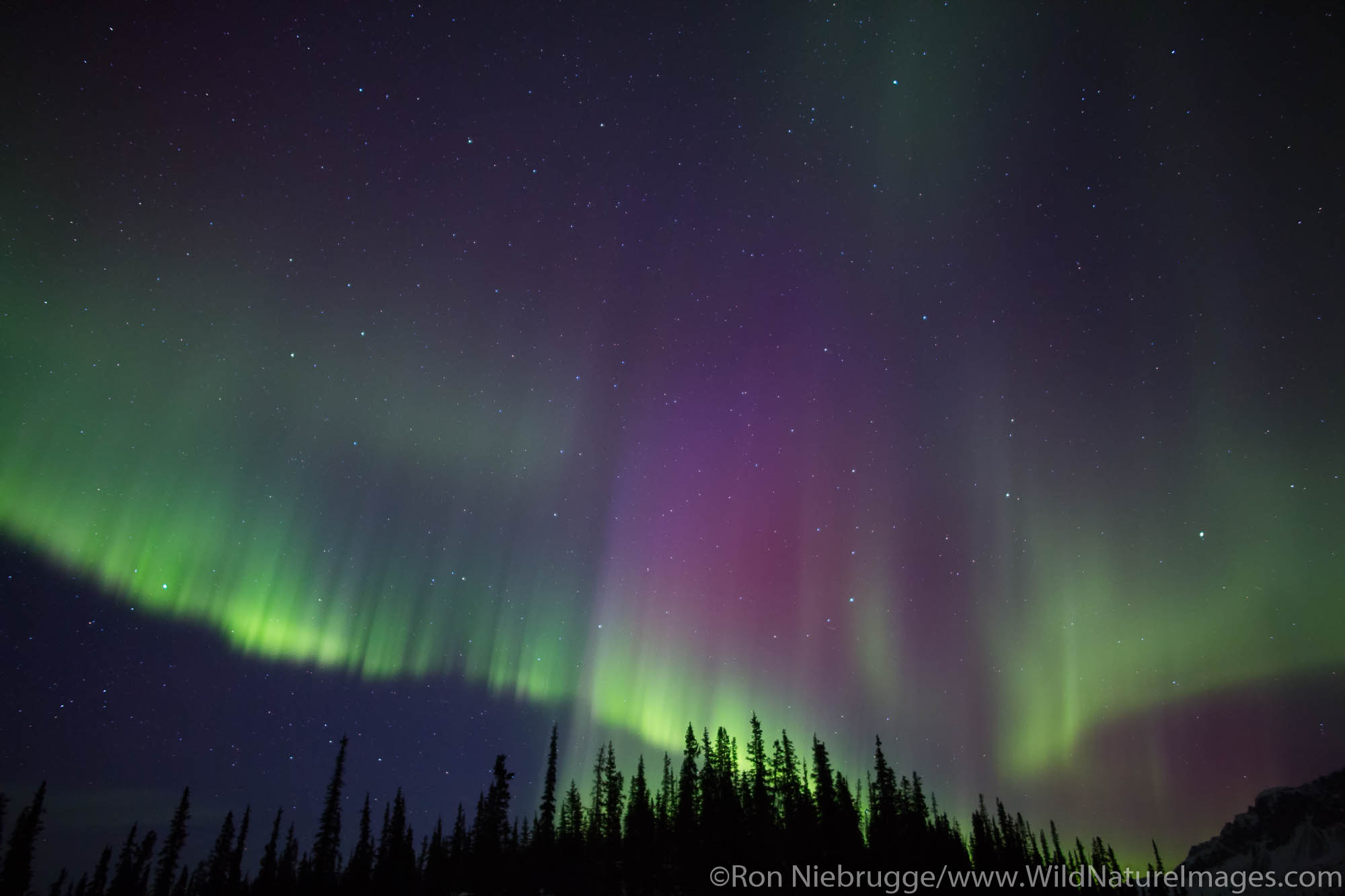 Aurora Borealis over the Brooks Range, Alaska.