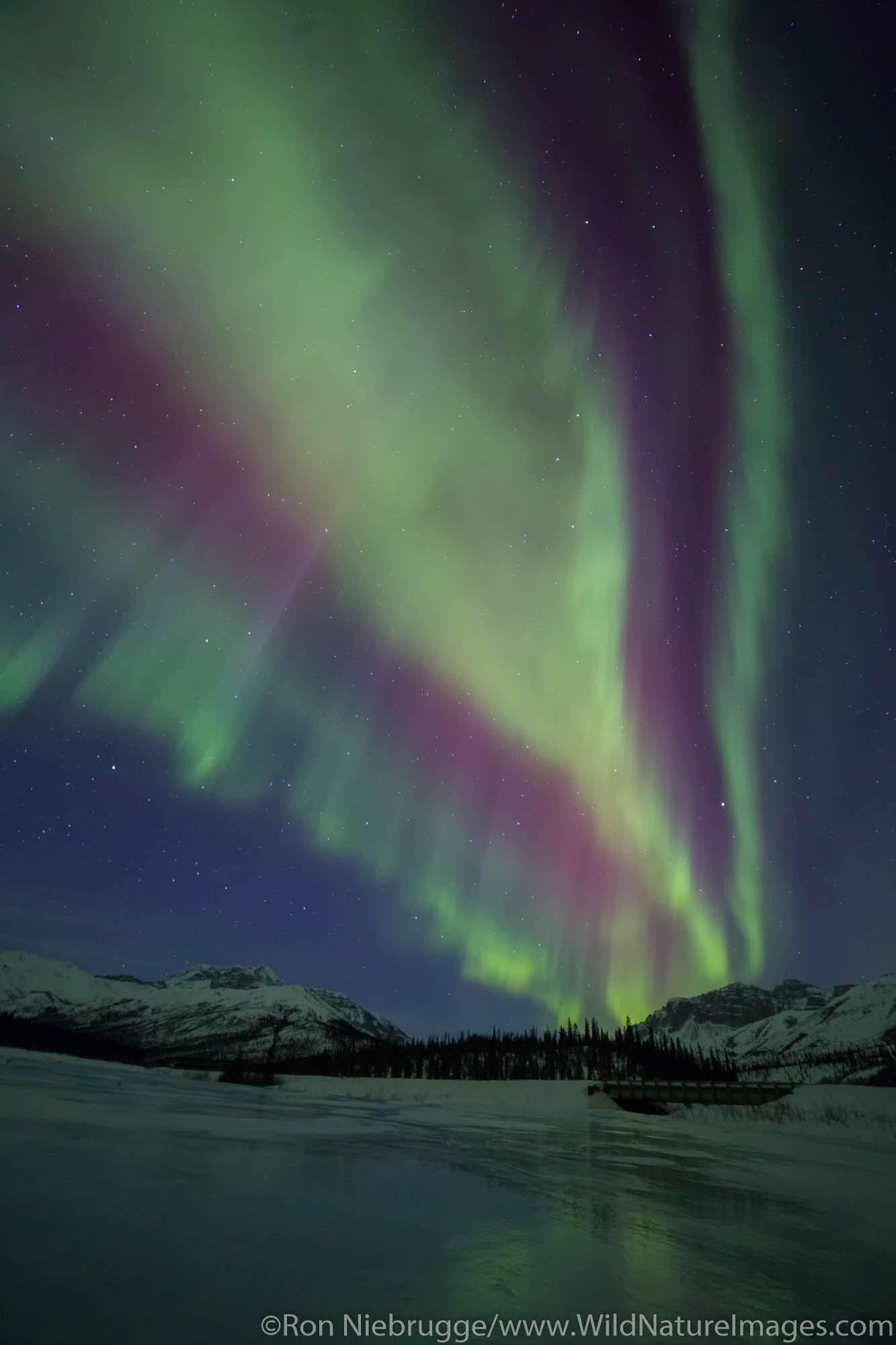 Aurora Borealis over the Brooks Range, Alaska.