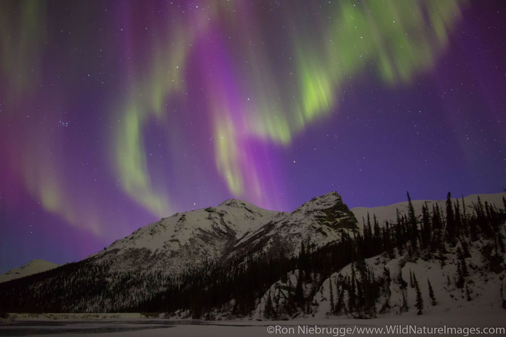 Aurora Borealis over the Brooks Range Alaska.