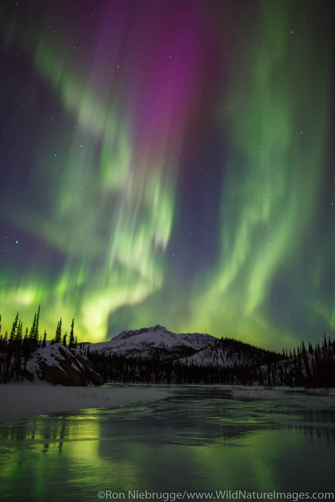 Aurora Borealis over the Brooks Range Alaska.