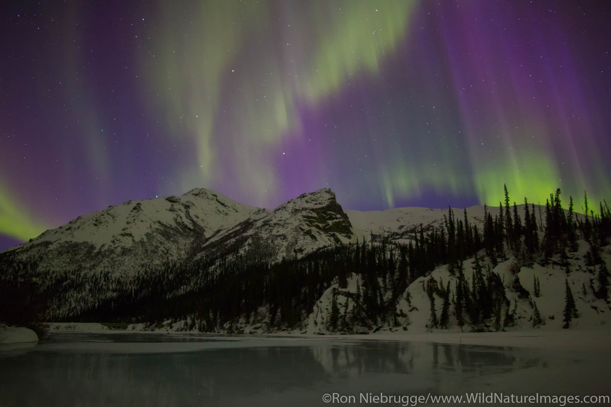 Aurora Borealis over the Brooks Range Alaska.
