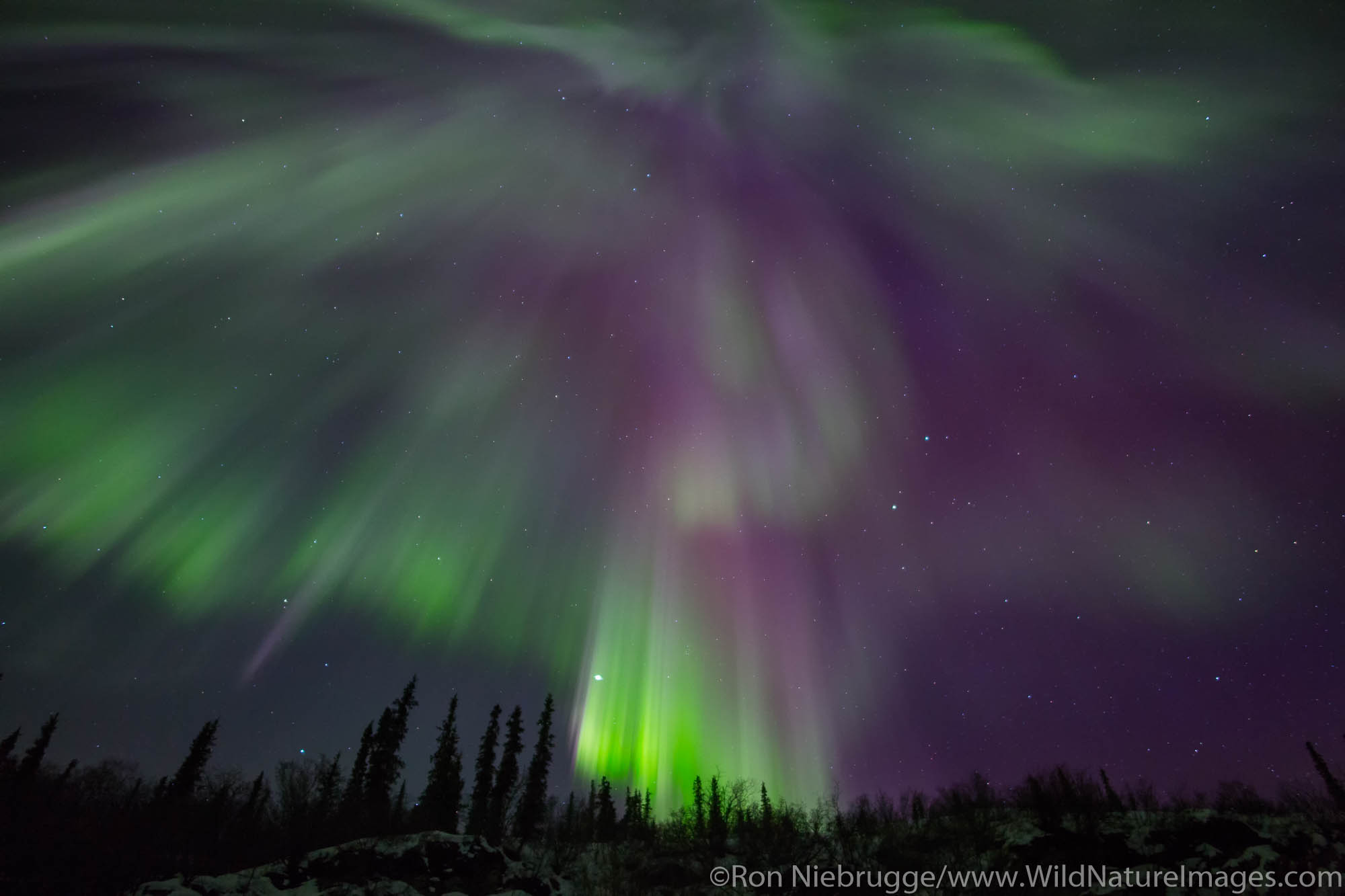 Aurora Borealis over the Brooks Range, Alaska.