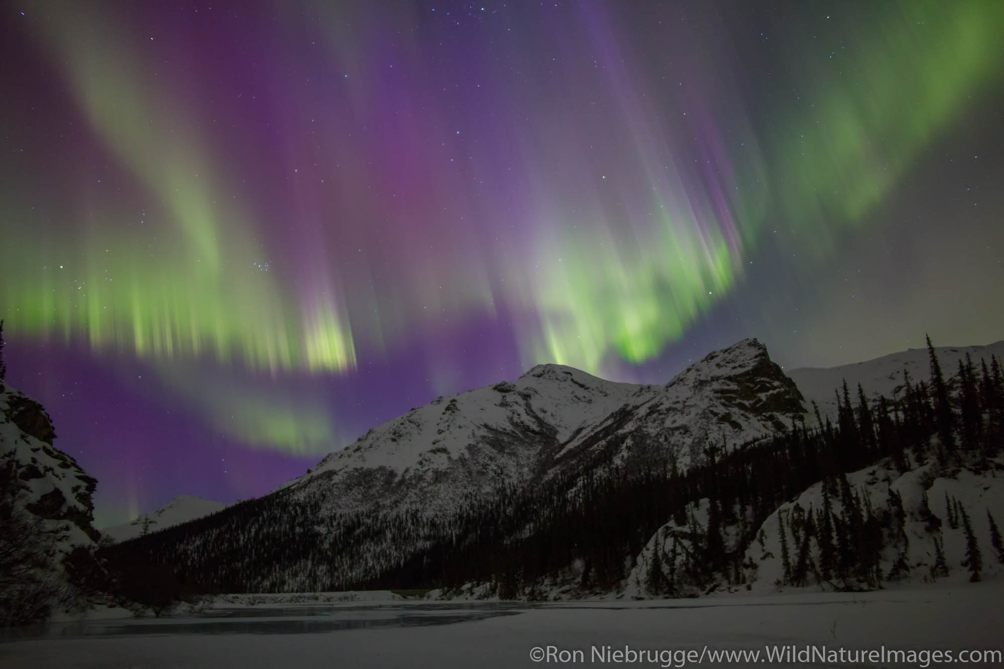 Aurora Borealis over the Brooks Range Alaska.