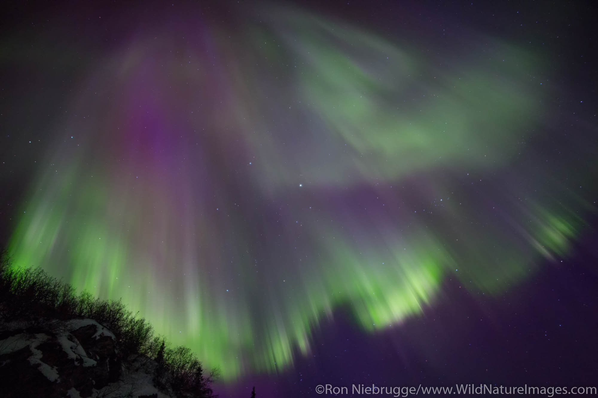 Aurora Borealis over the Brooks Range, Alaska.