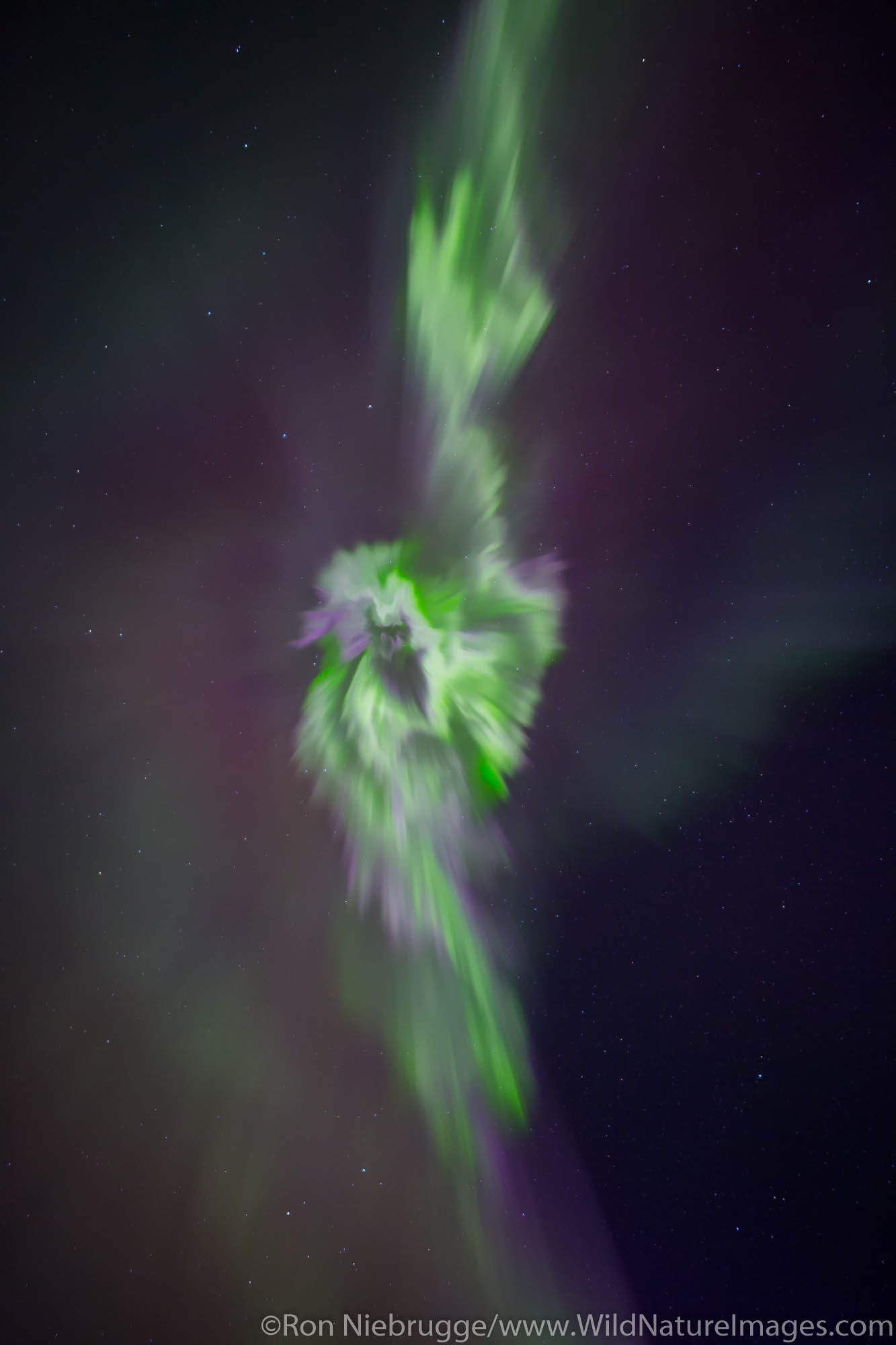 Aurora Borealis over the Brooks Range Alaska.