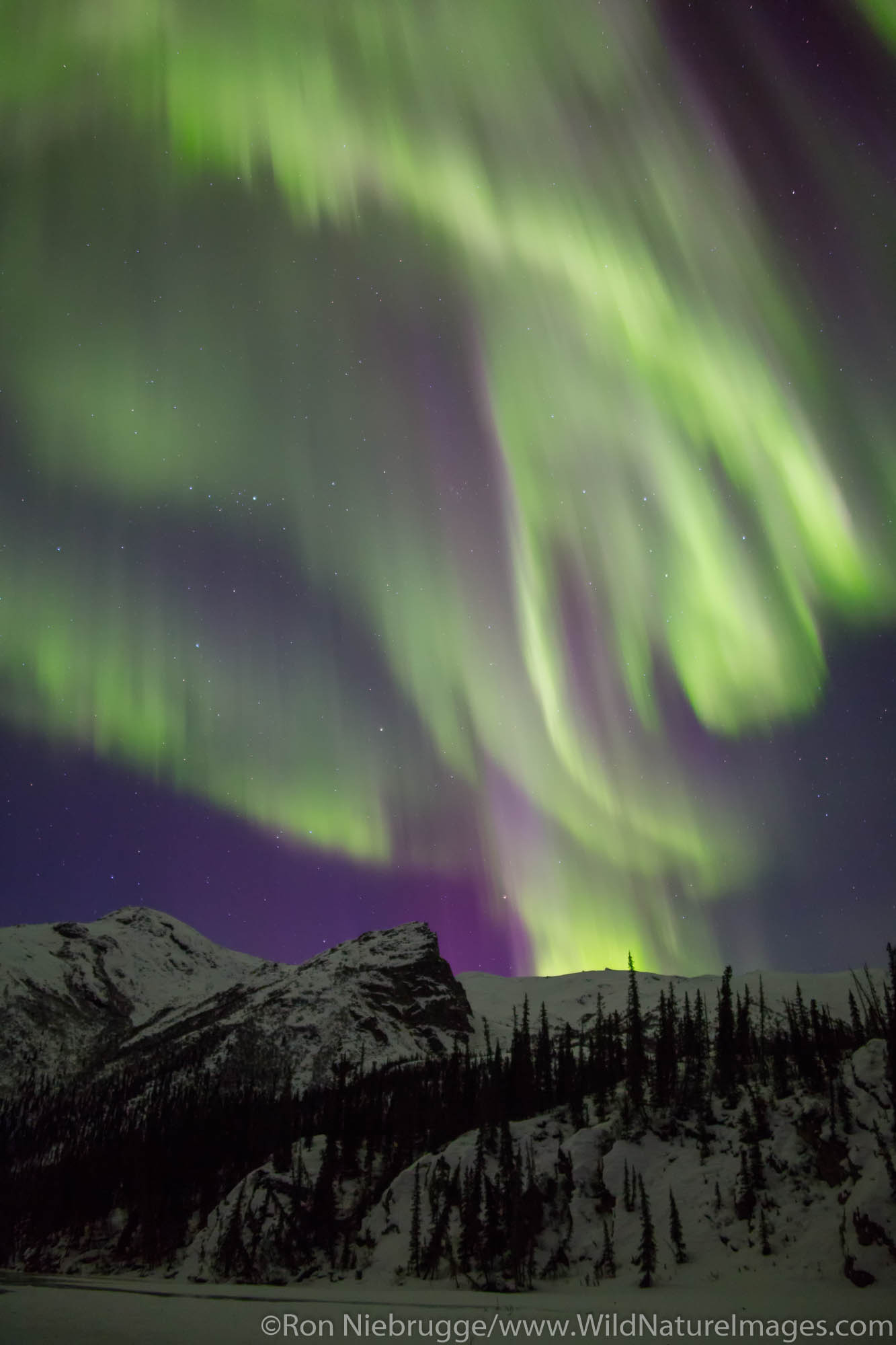 Aurora Borealis over the Brooks Range Alaska.