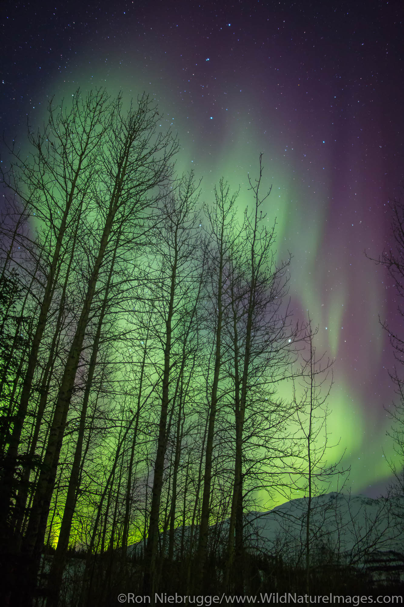 Aurora Borealis over the Brooks Range, Alaska.