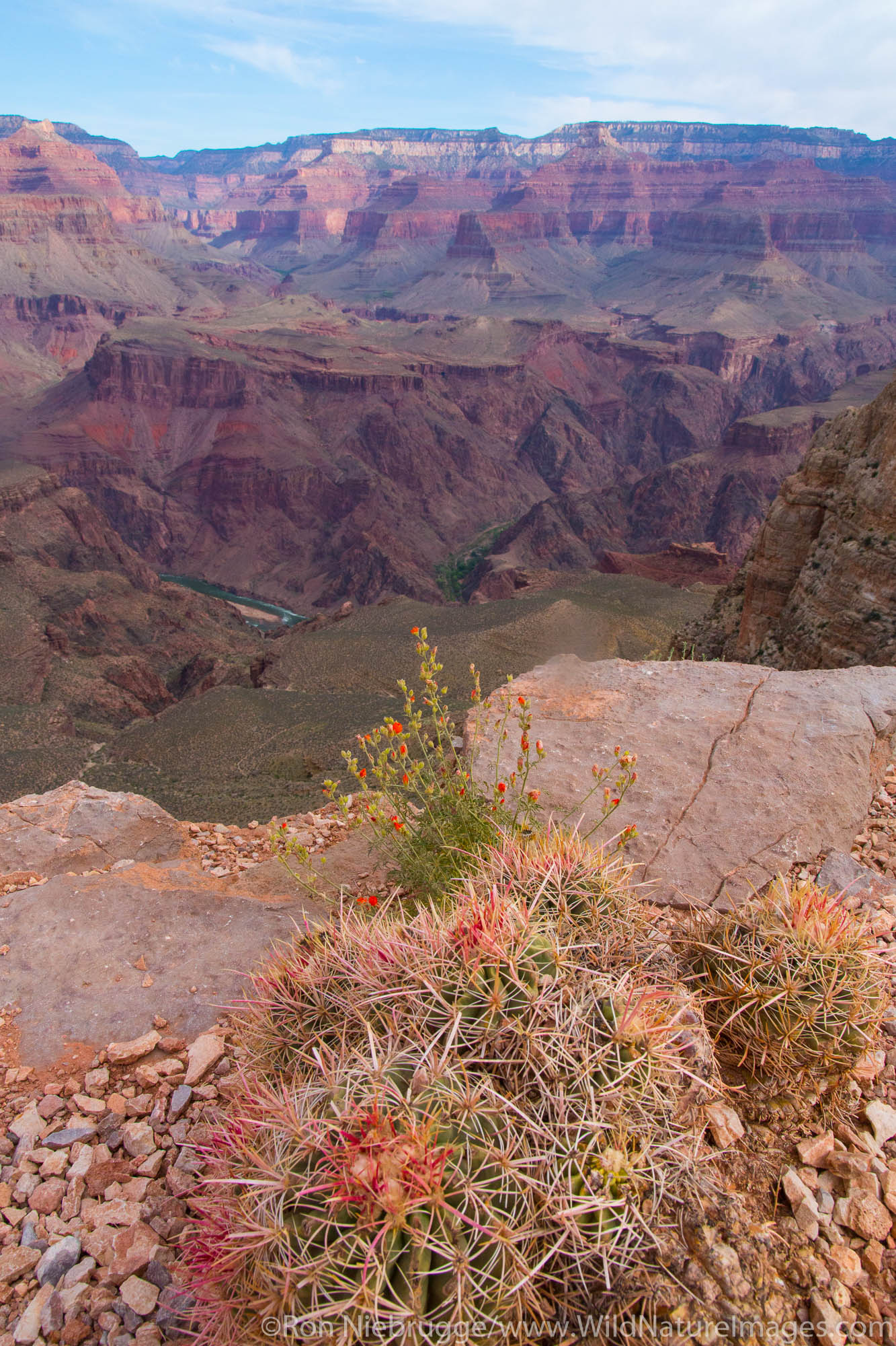 South Kaibab Trail, Grand Canyon National Park, Arizona.