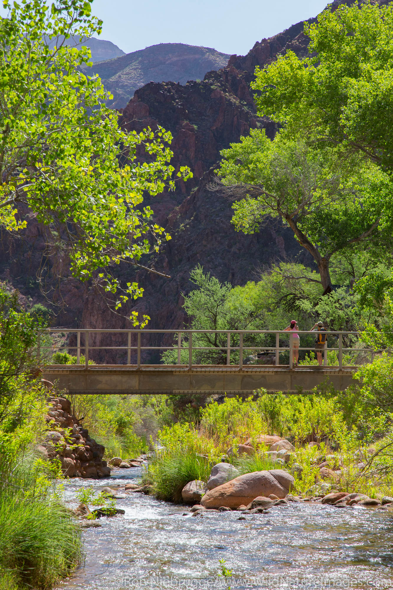 Bright Angel Campground, Grand Canyon National Park, Arizona.