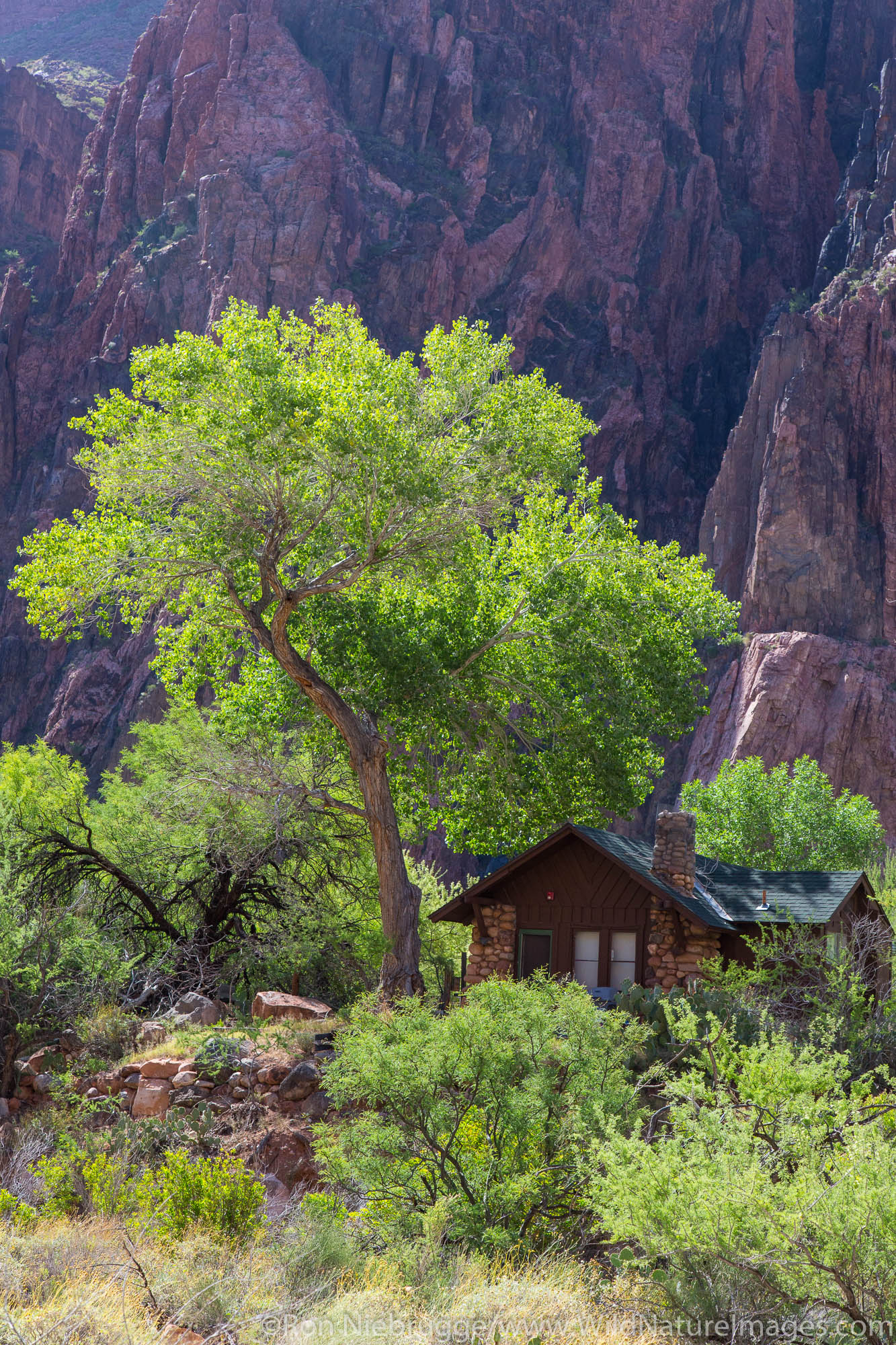 Bright Angel Campground, Grand Canyon National Park, Arizona.