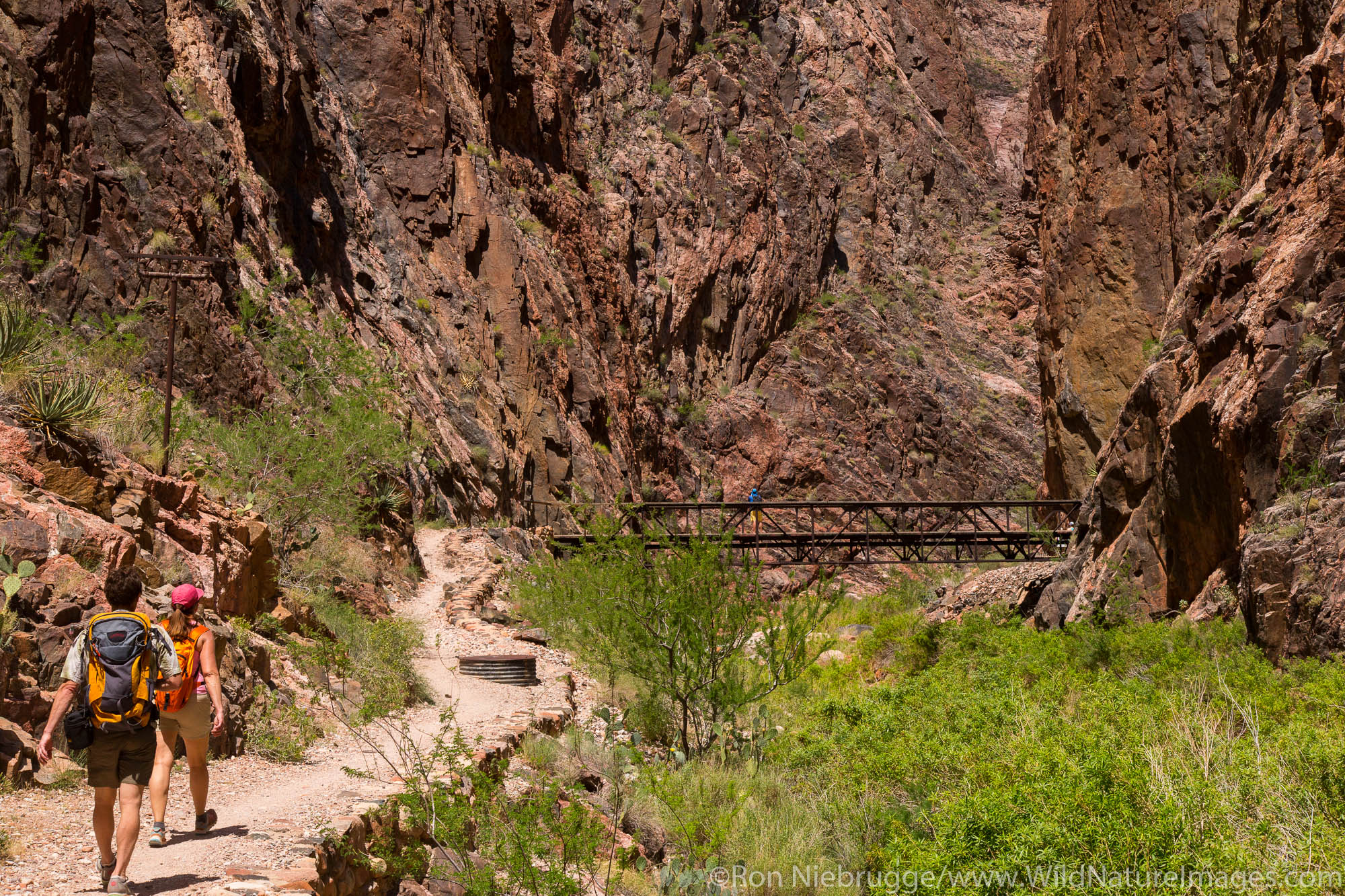 North Kaibab Trail, Grand Canyon National Park, Arizona.