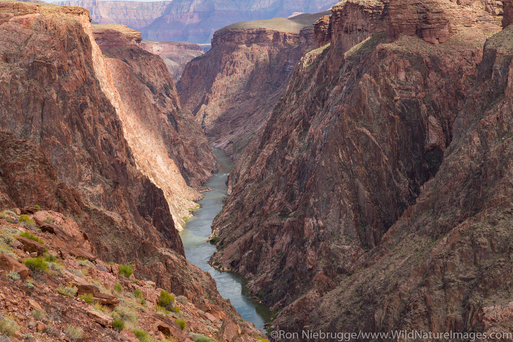 Along the Clear Creek Trail, Grand Canyon National Park, Arizona.