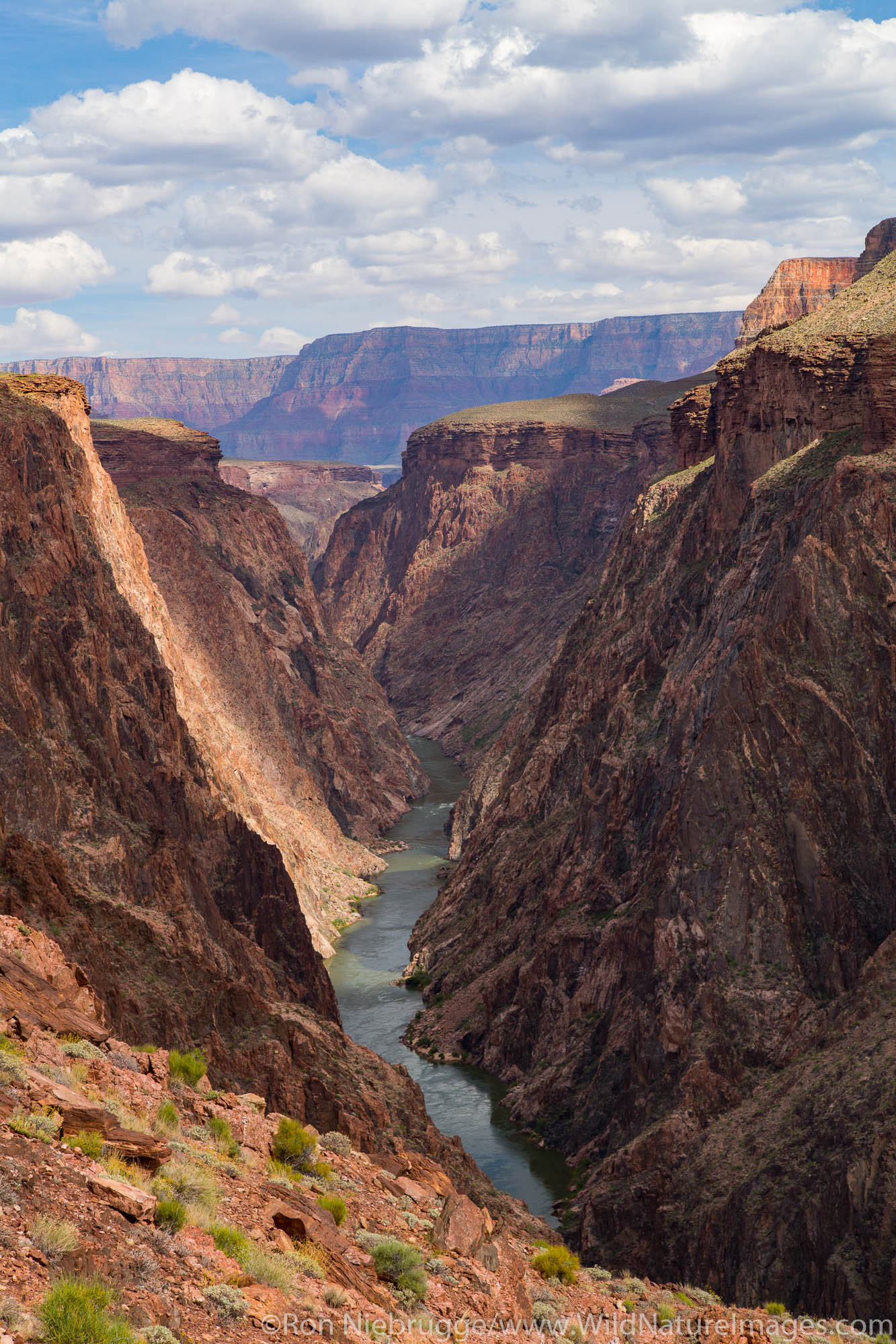 Along the Clear Creek Trail, Grand Canyon National Park, Arizona.