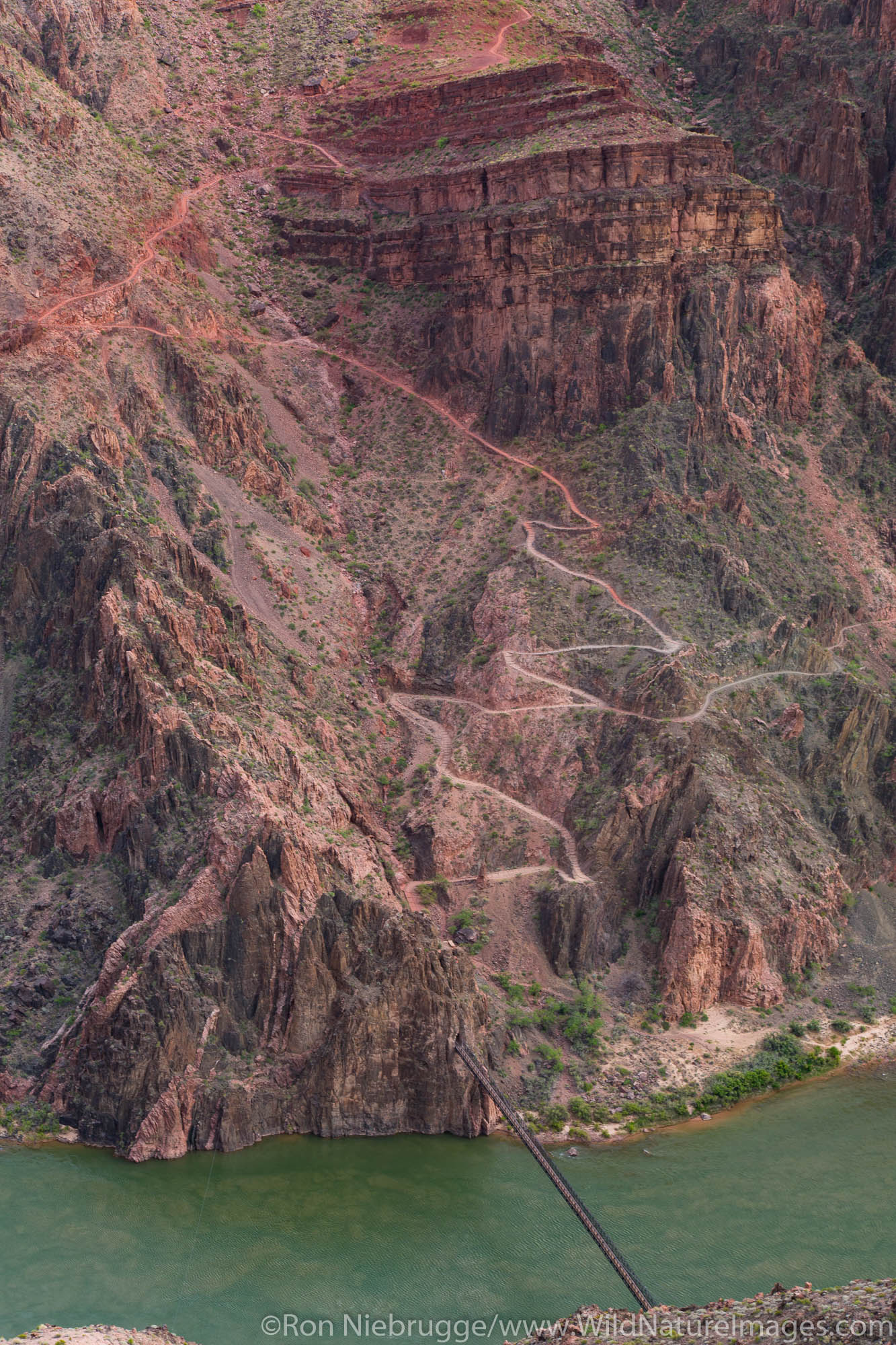 Along the Clear Creek Trail, Grand Canyon National Park, Arizona.