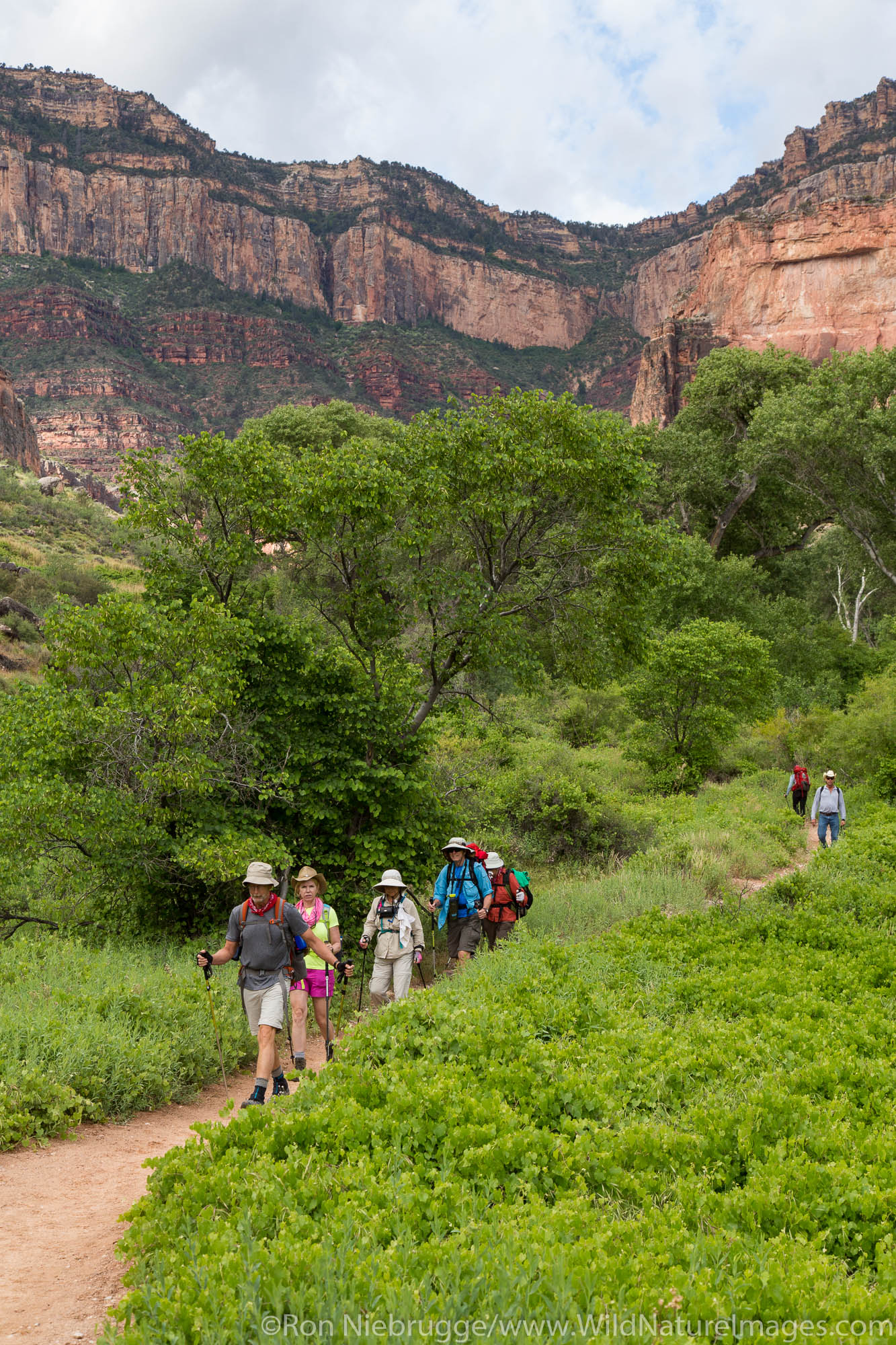 Bright Angel Trail, Grand Canyon National Park, Arizona.
