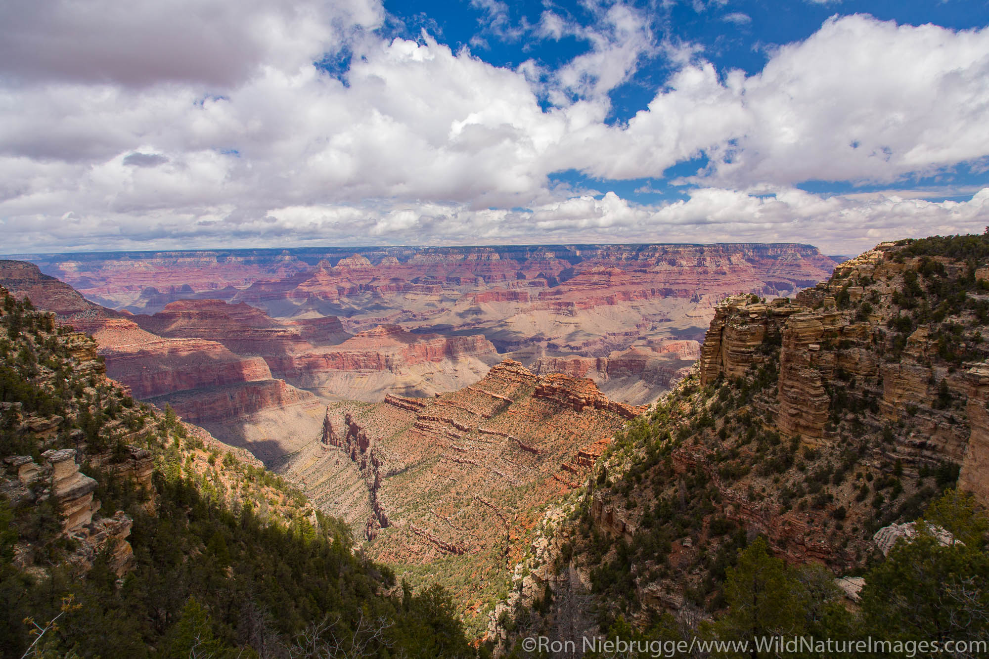 Grand Canyon National Park, Arizona.