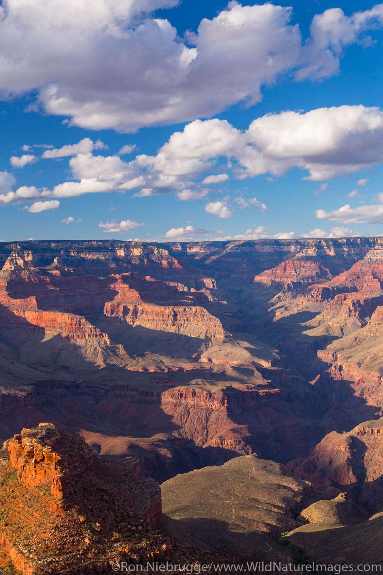 Trailview Overlook, Grand Canyon National Park, Arizona.