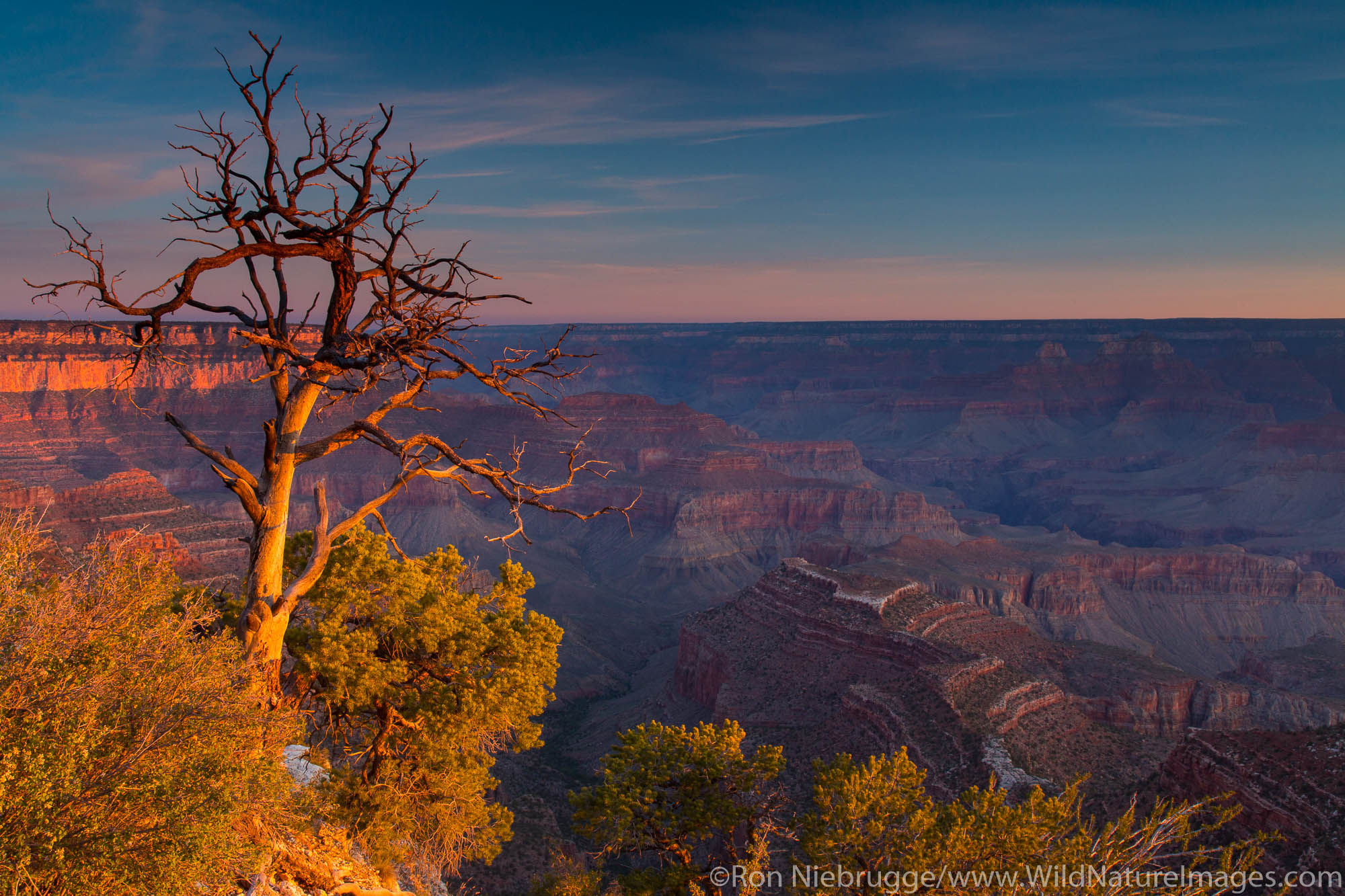 Grand Canyon National Park, Arizona.