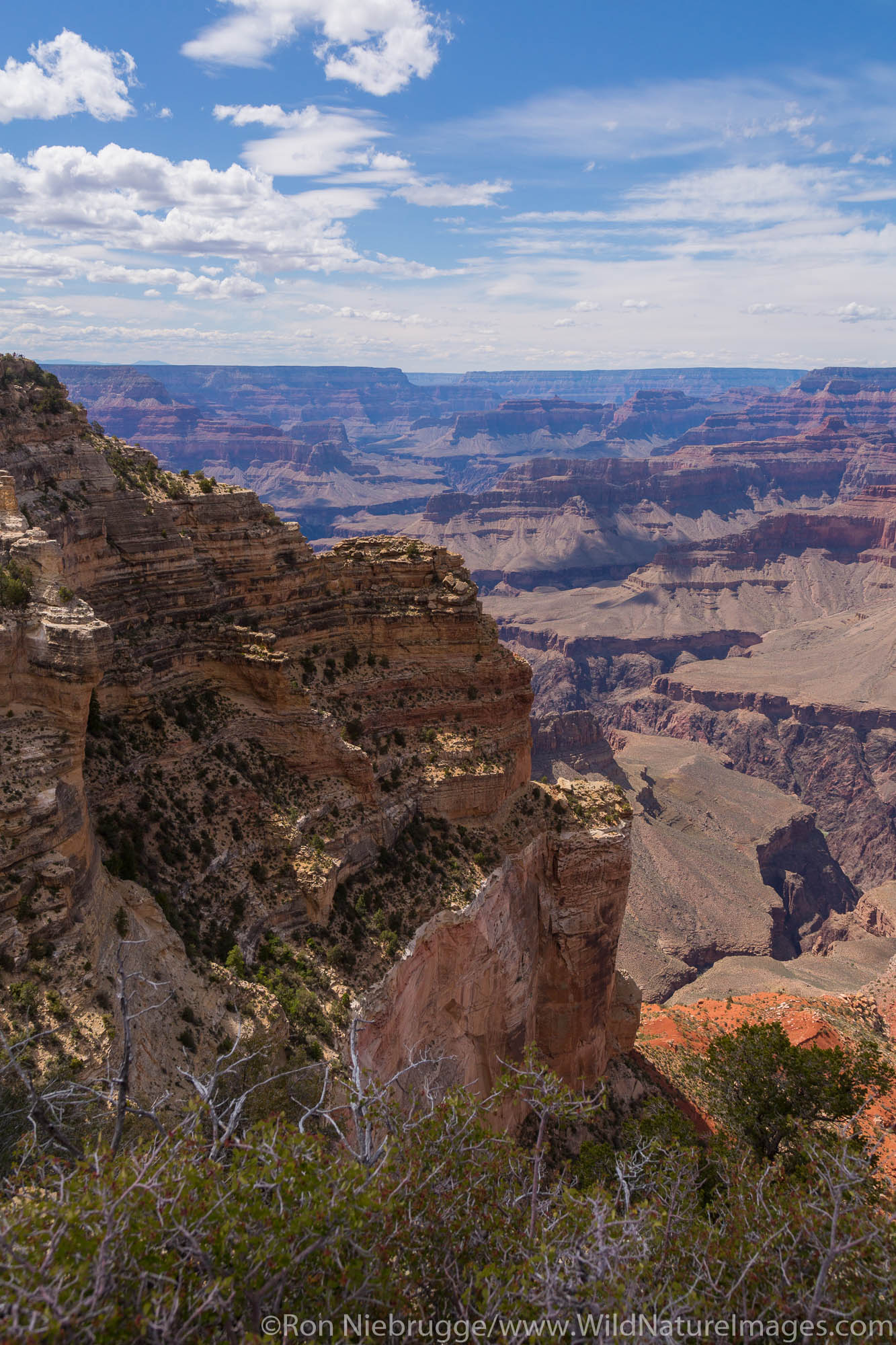 Powell Point, Grand Canyon National Park, Arizona.