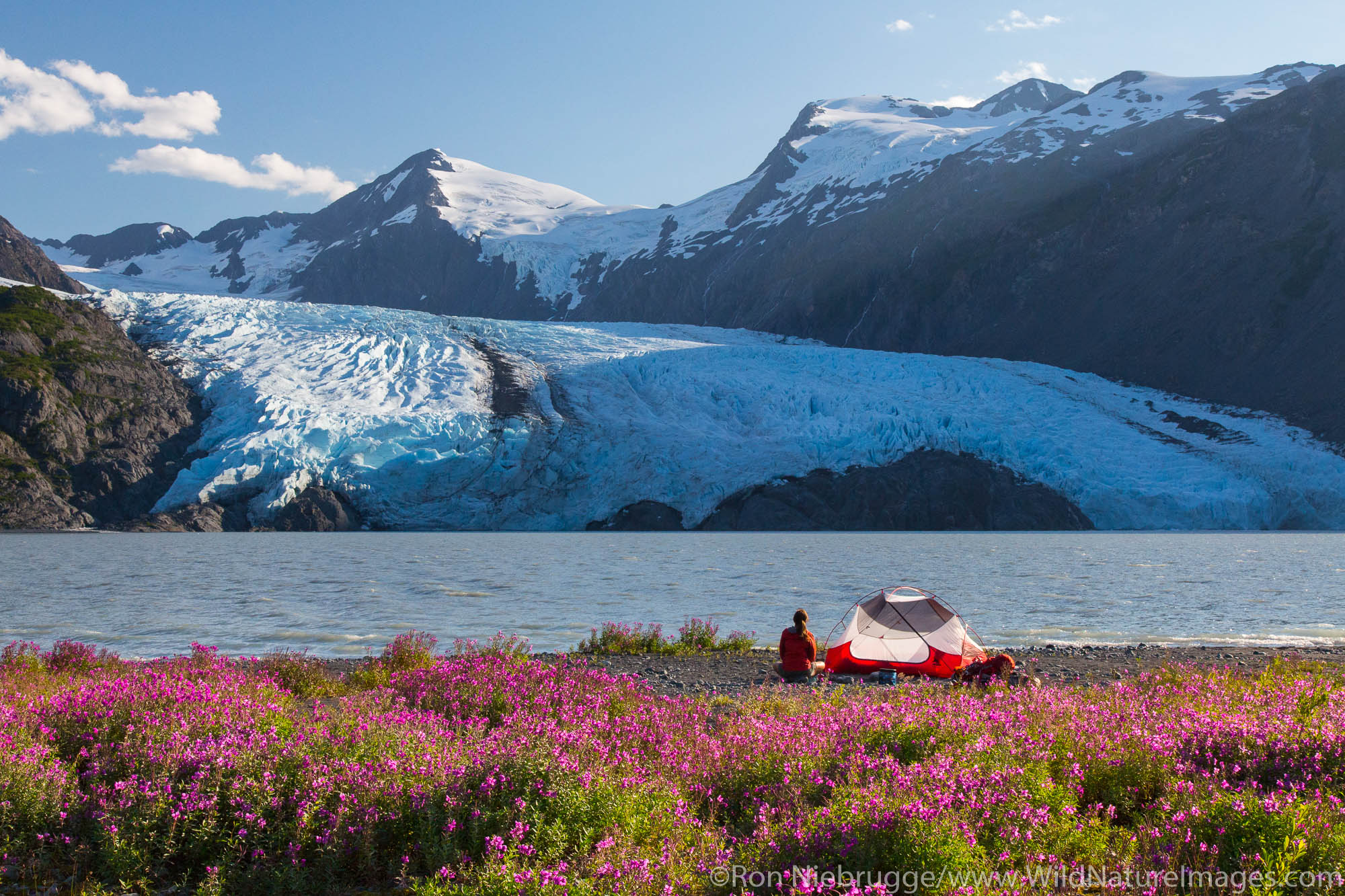 Camping near Portage Glacier, Chugach National Forest, Alaska.