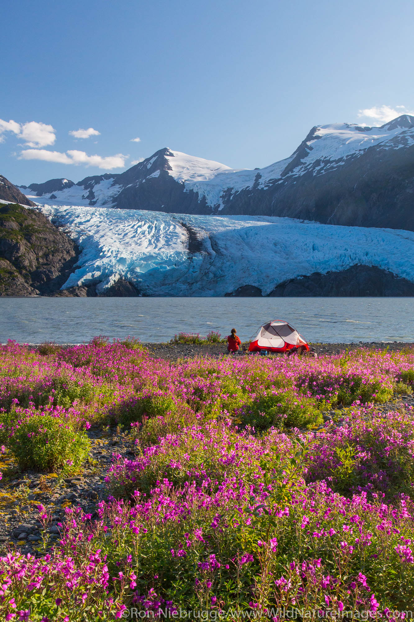 Camping near Portage Glacier, Chugach National Forest, Alaska.