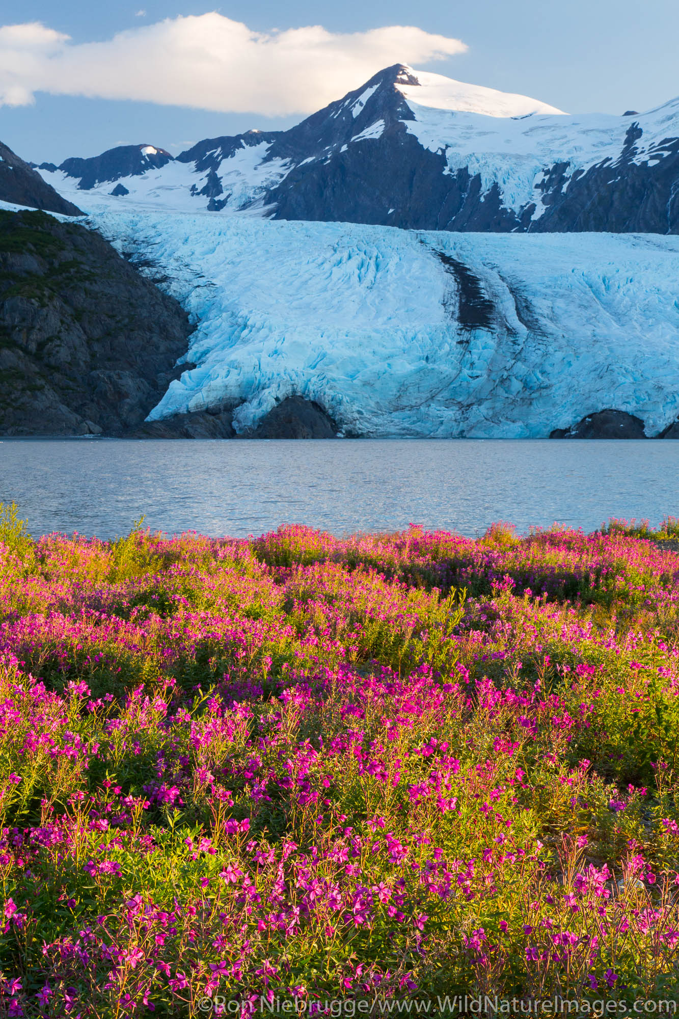Portage Glacier, Chugach National Forest, Alaska.