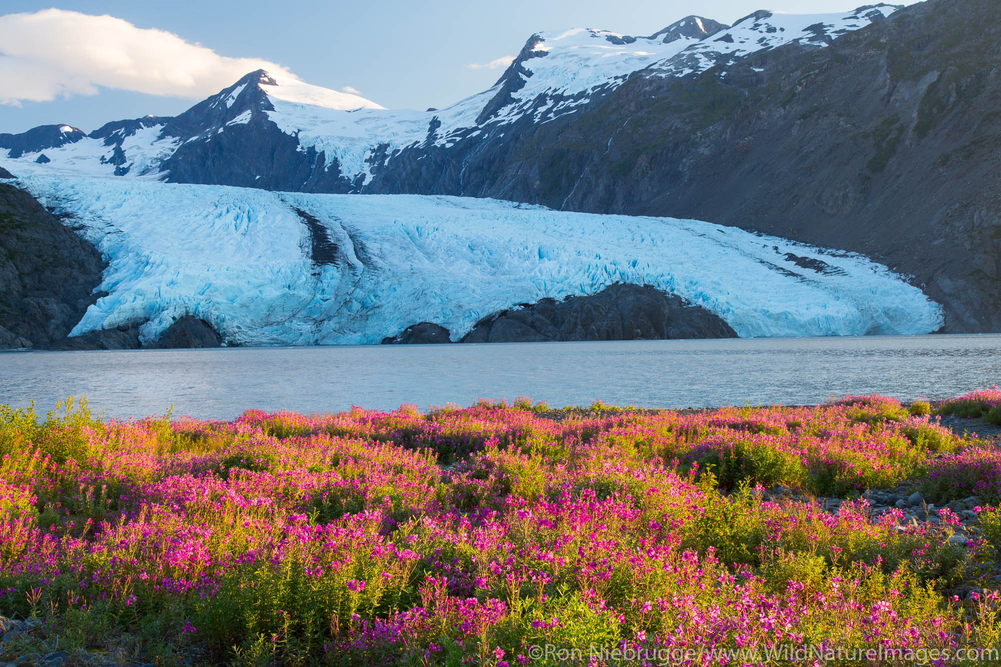 Portage Glacier, Chugach National Forest, Alaska.