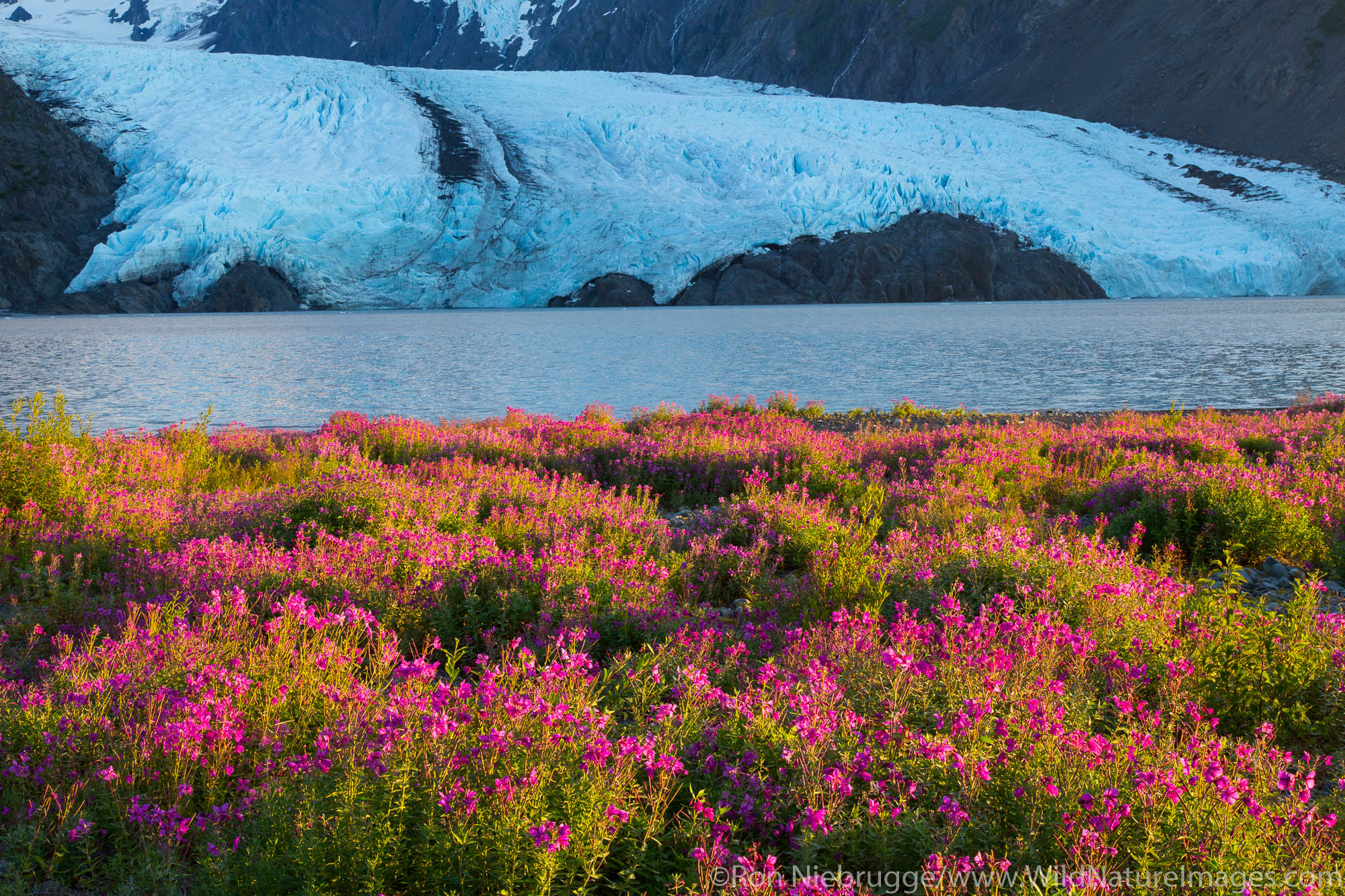 Portage Glacier, Chugach National Forest, Alaska.