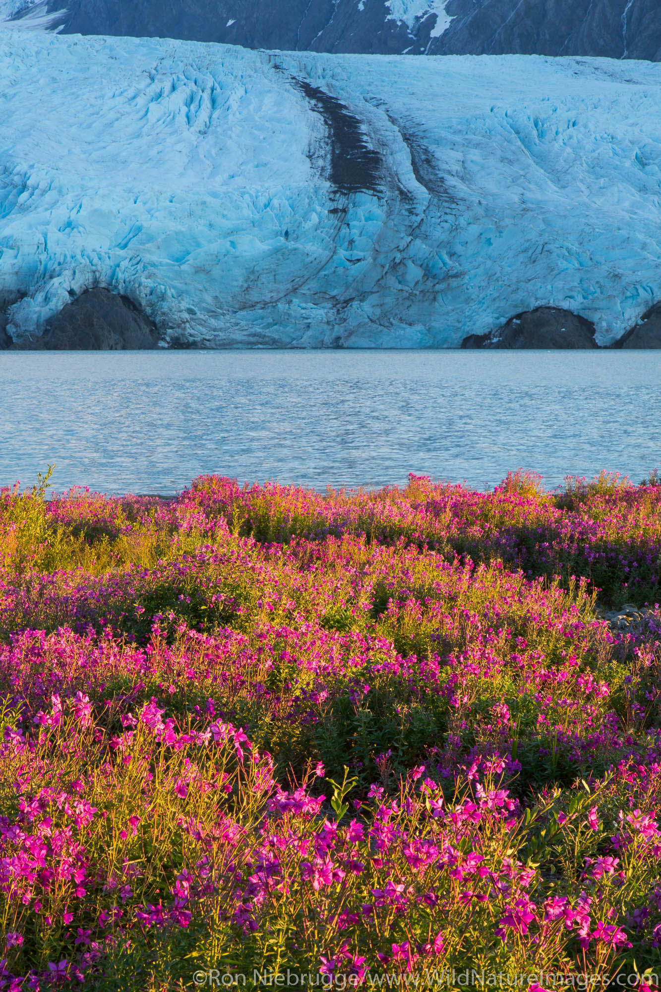 Portage Glacier, Chugach National Forest, Alaska.