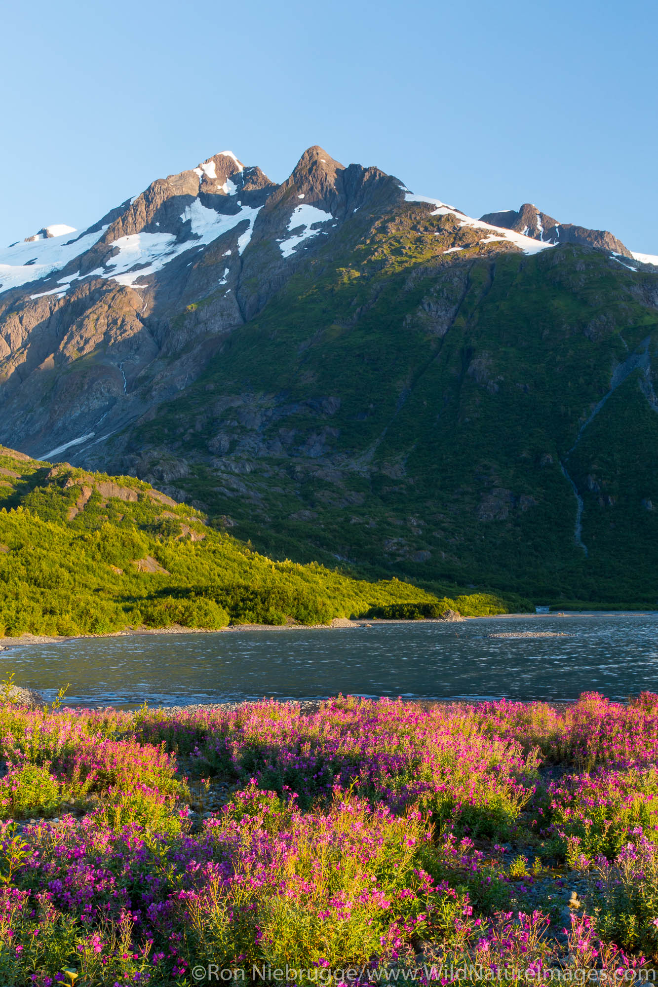 Portage Glacier, Chugach National Forest, Alaska.