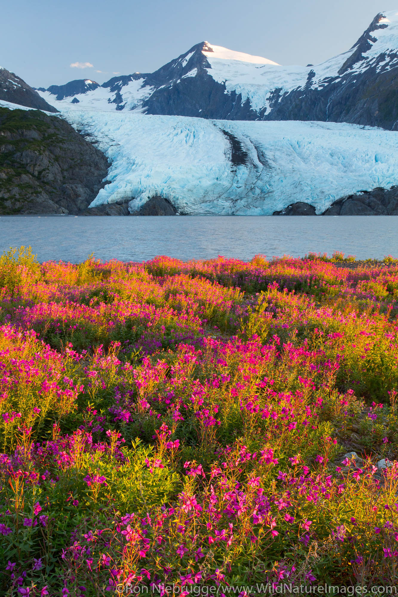 Portage Glacier, Chugach National Forest, Alaska.