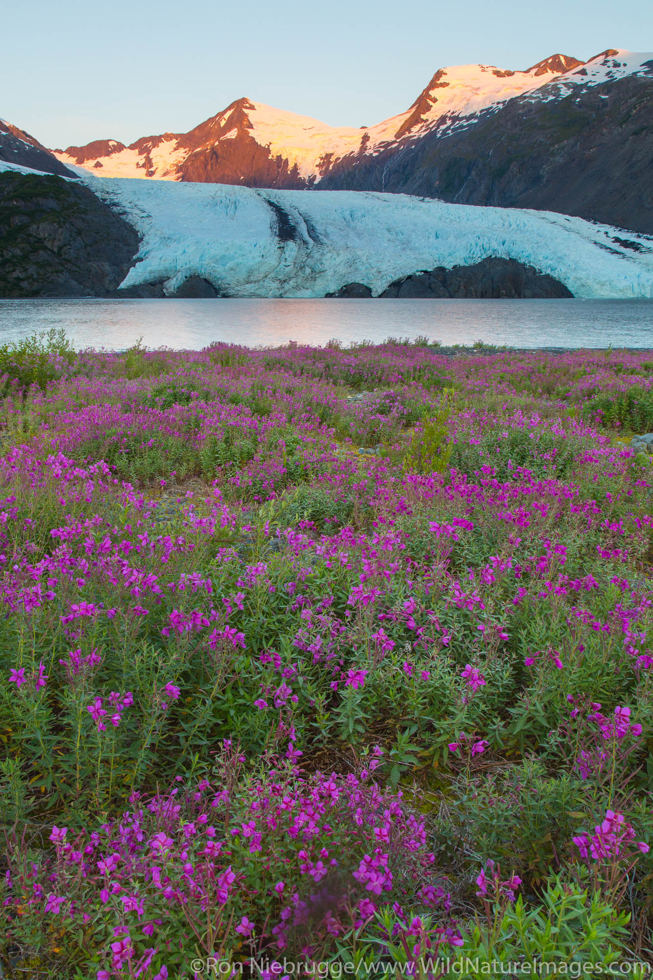 Portage Glacier, Chugach National Forest, Alaska.