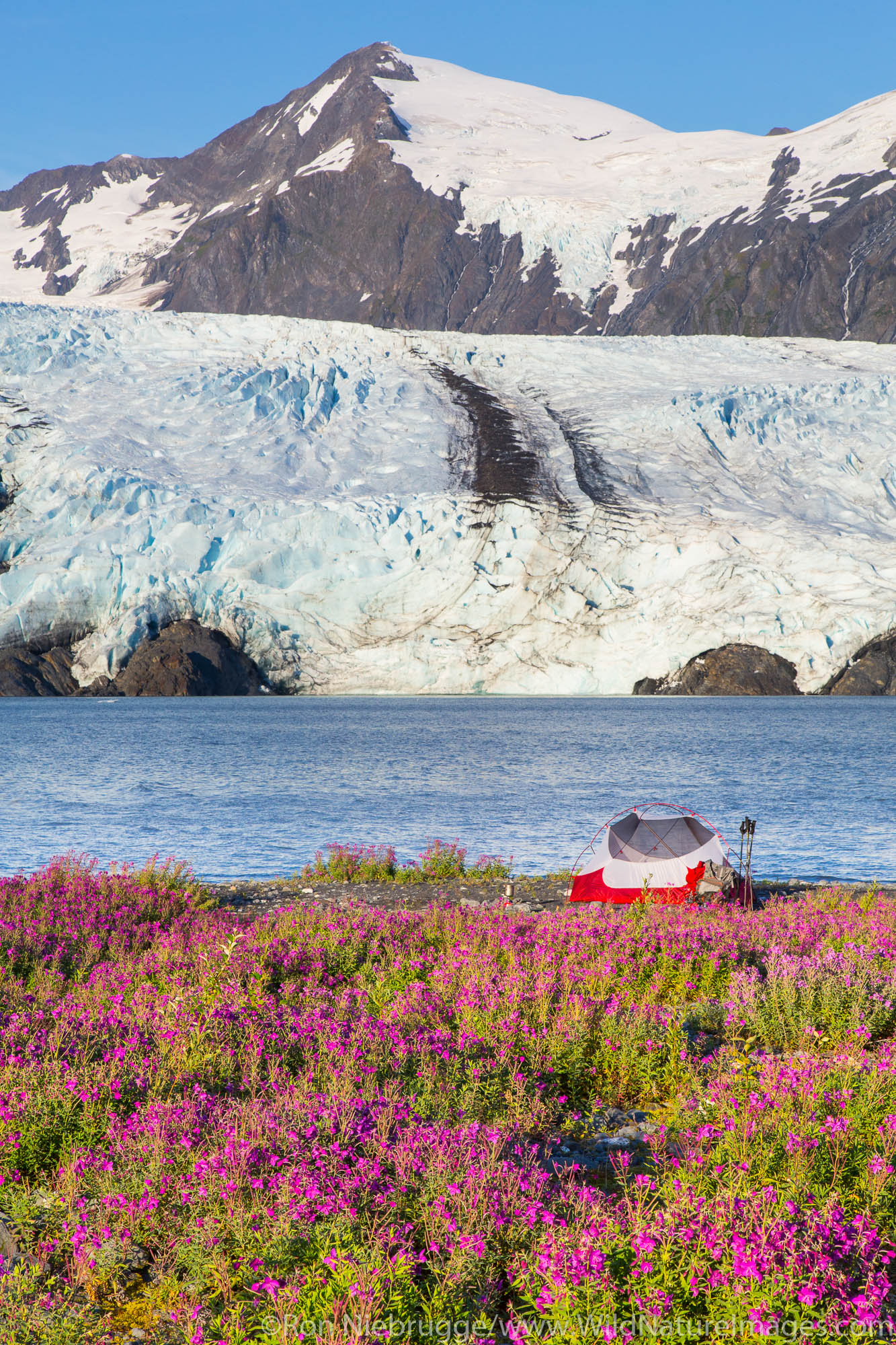 Camping near Portage Glacier, Chugach National Forest, Alaska.