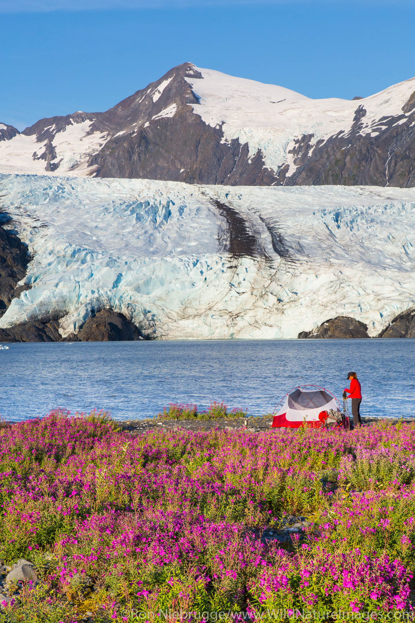 Camping near Portage Glacier, Chugach National Forest, Alaska.