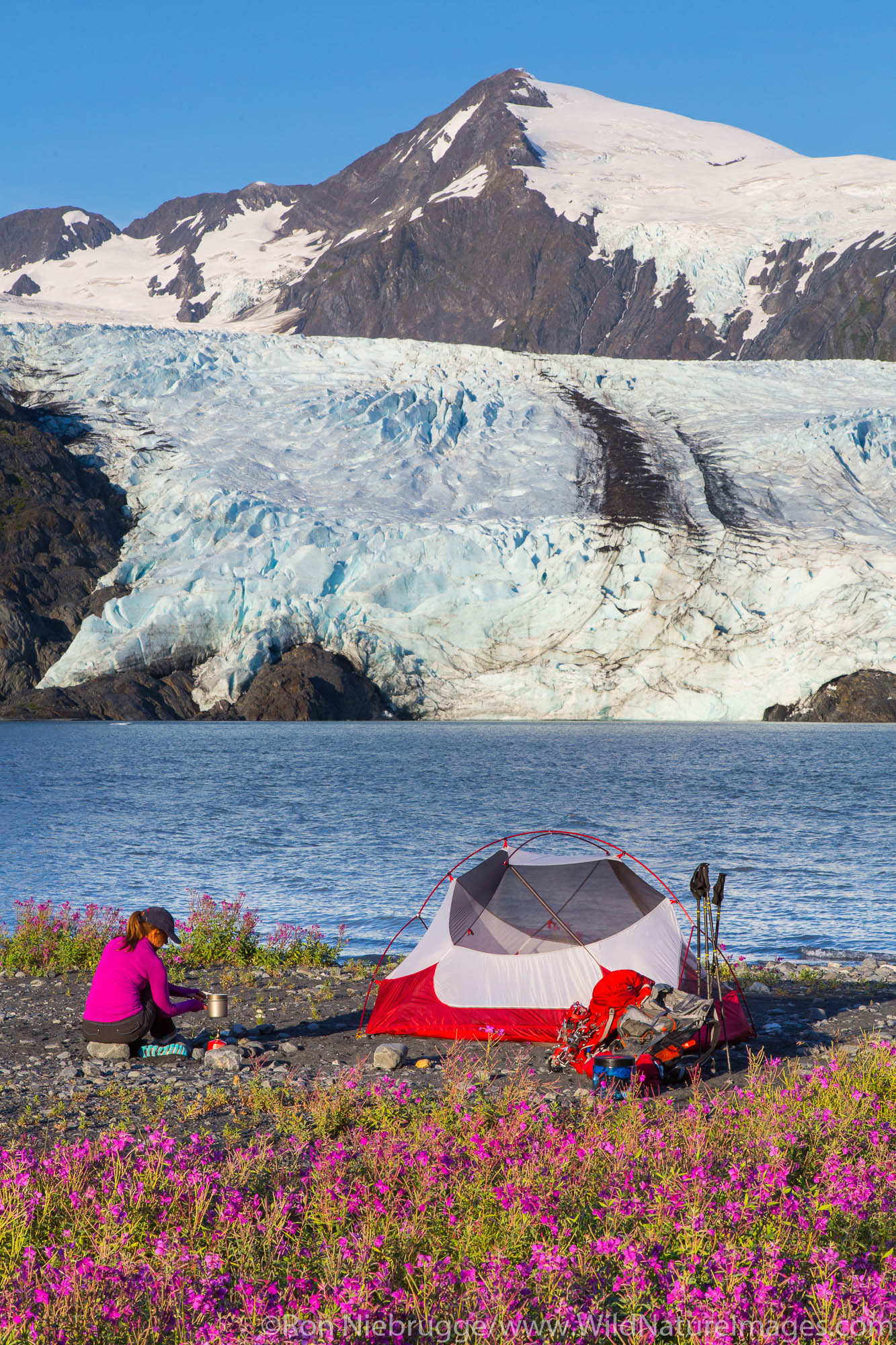 Camping near Portage Glacier, Chugach National Forest, Alaska.