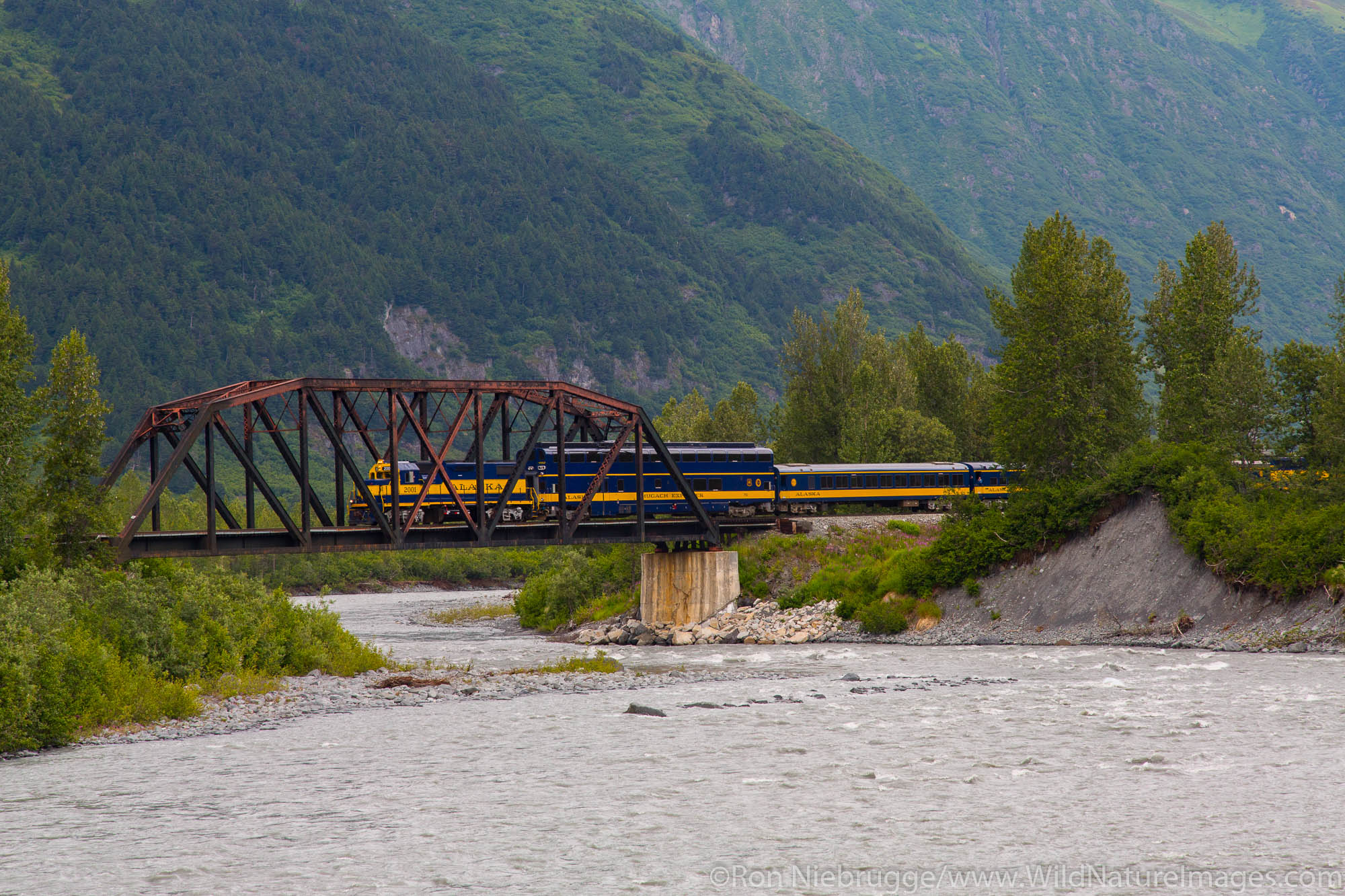 Alaska Railroad at Spencer Glacier, Chugach National Forest, Alaska.