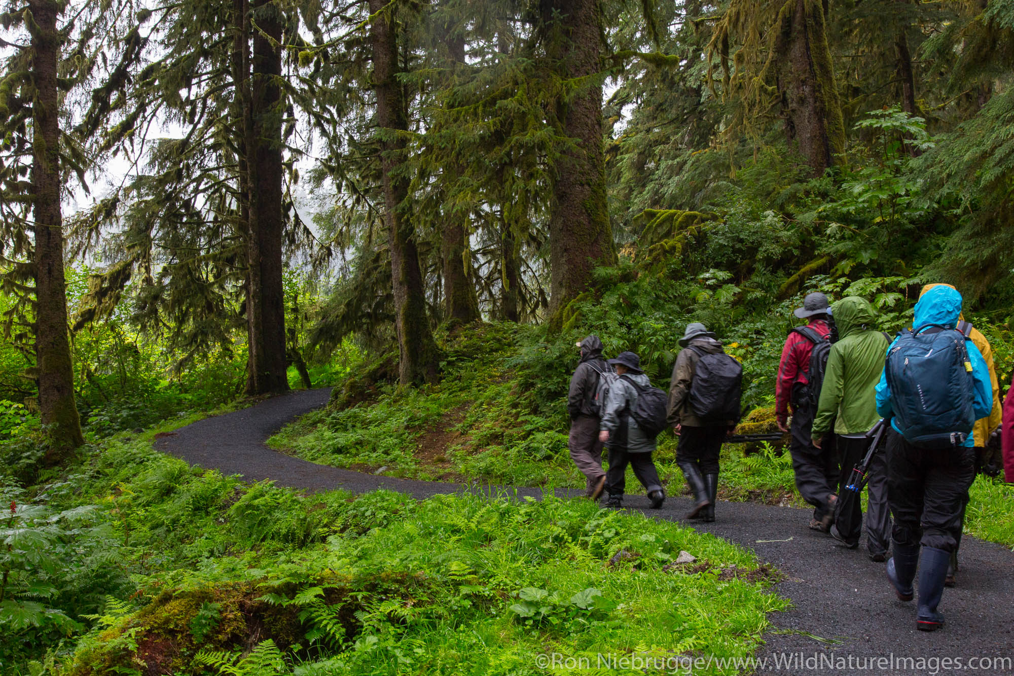 Anan Creek Wildlife Viewing Site, Tongass National Forest, Alaska.