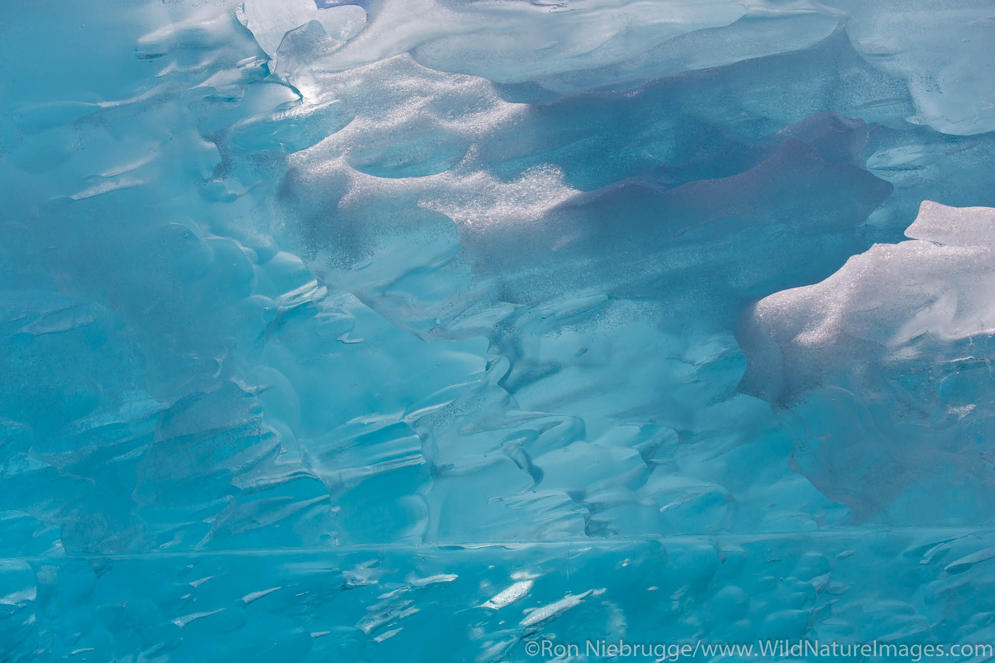 Ice from the LeConte Glacier, Tongass National Forest, Alaska.