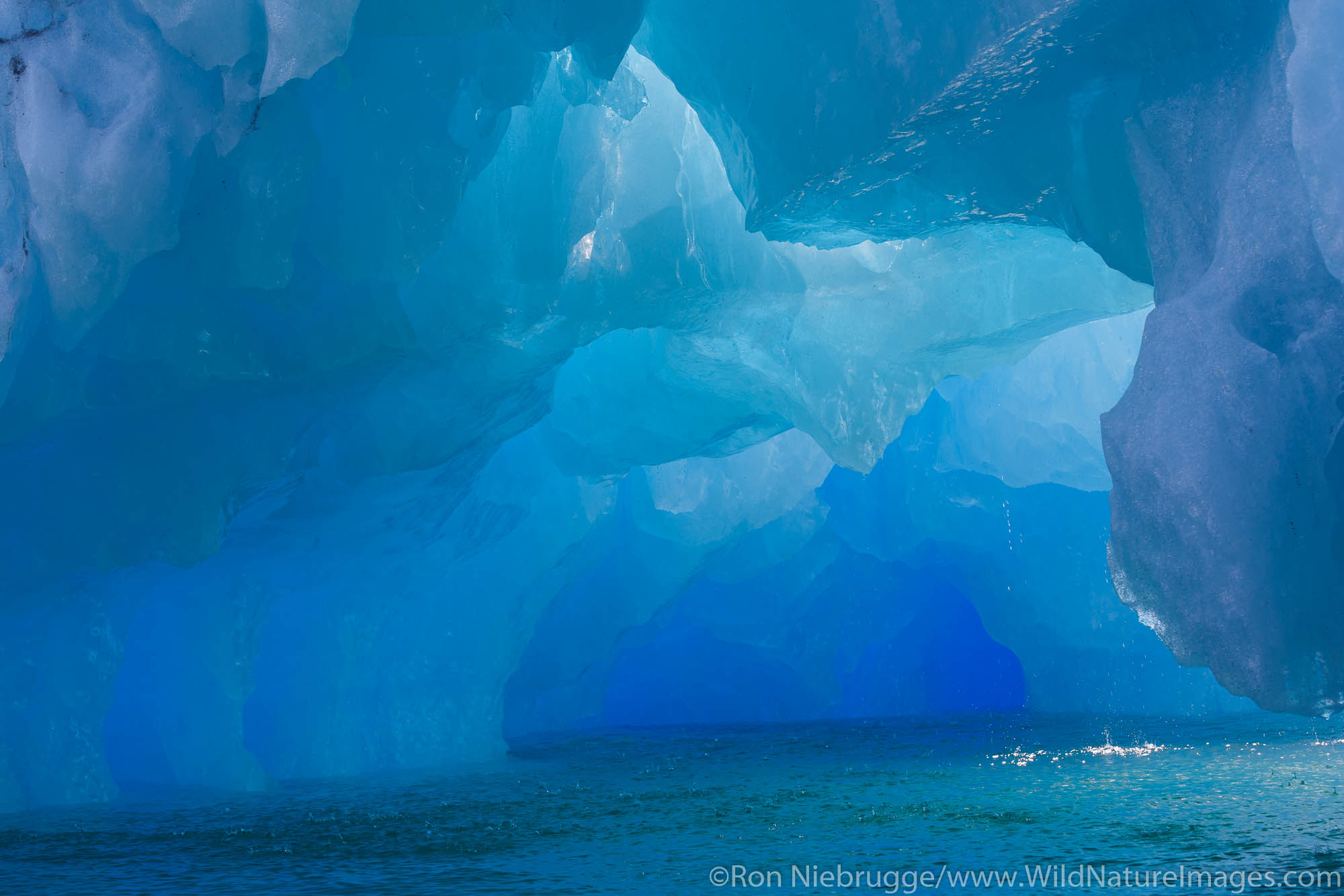 Ice from the LeConte Glacier, Tongass National Forest, Alaska.