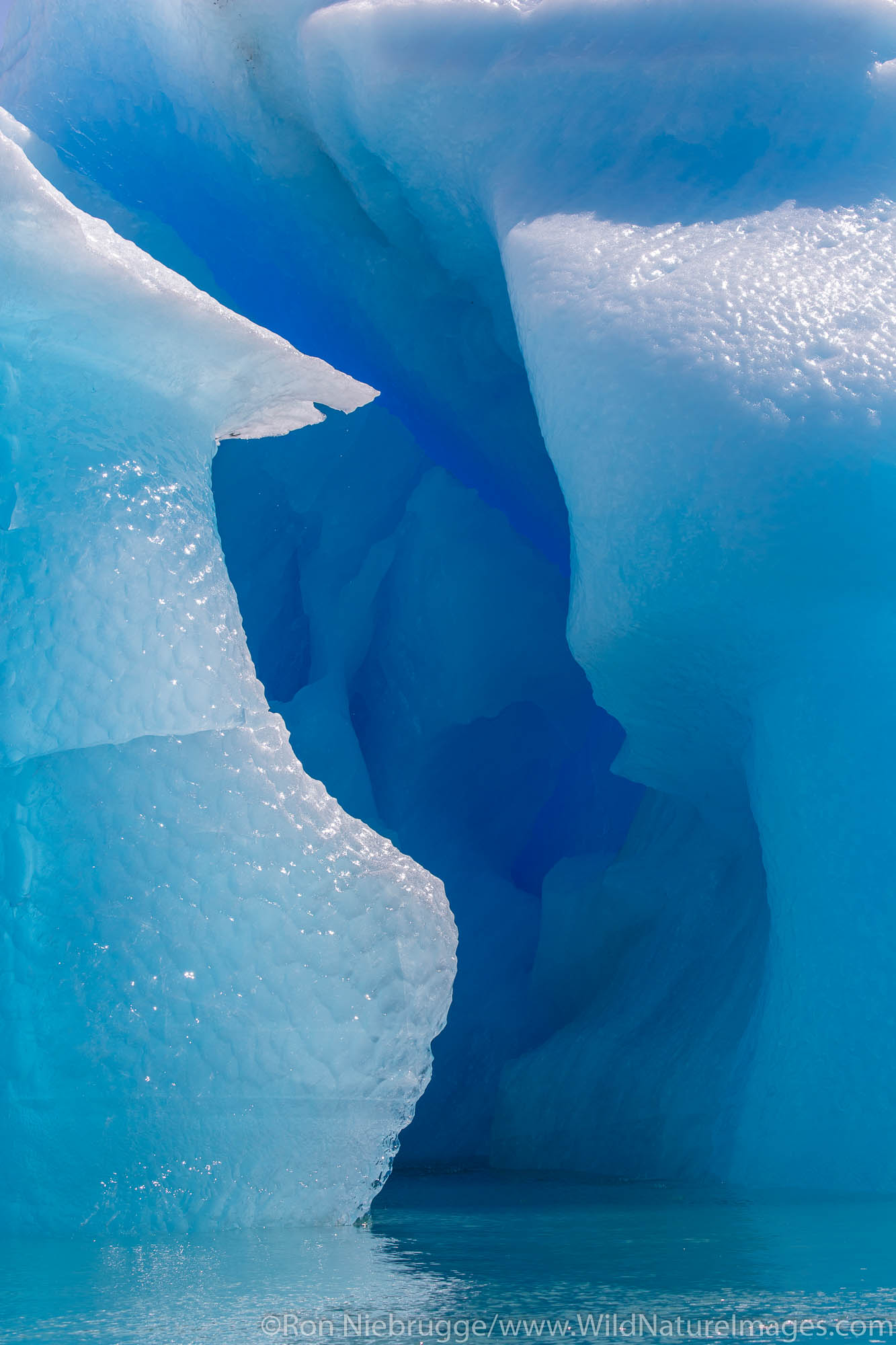 Ice from the LeConte Glacier, Tongass National Forest, Alaska.