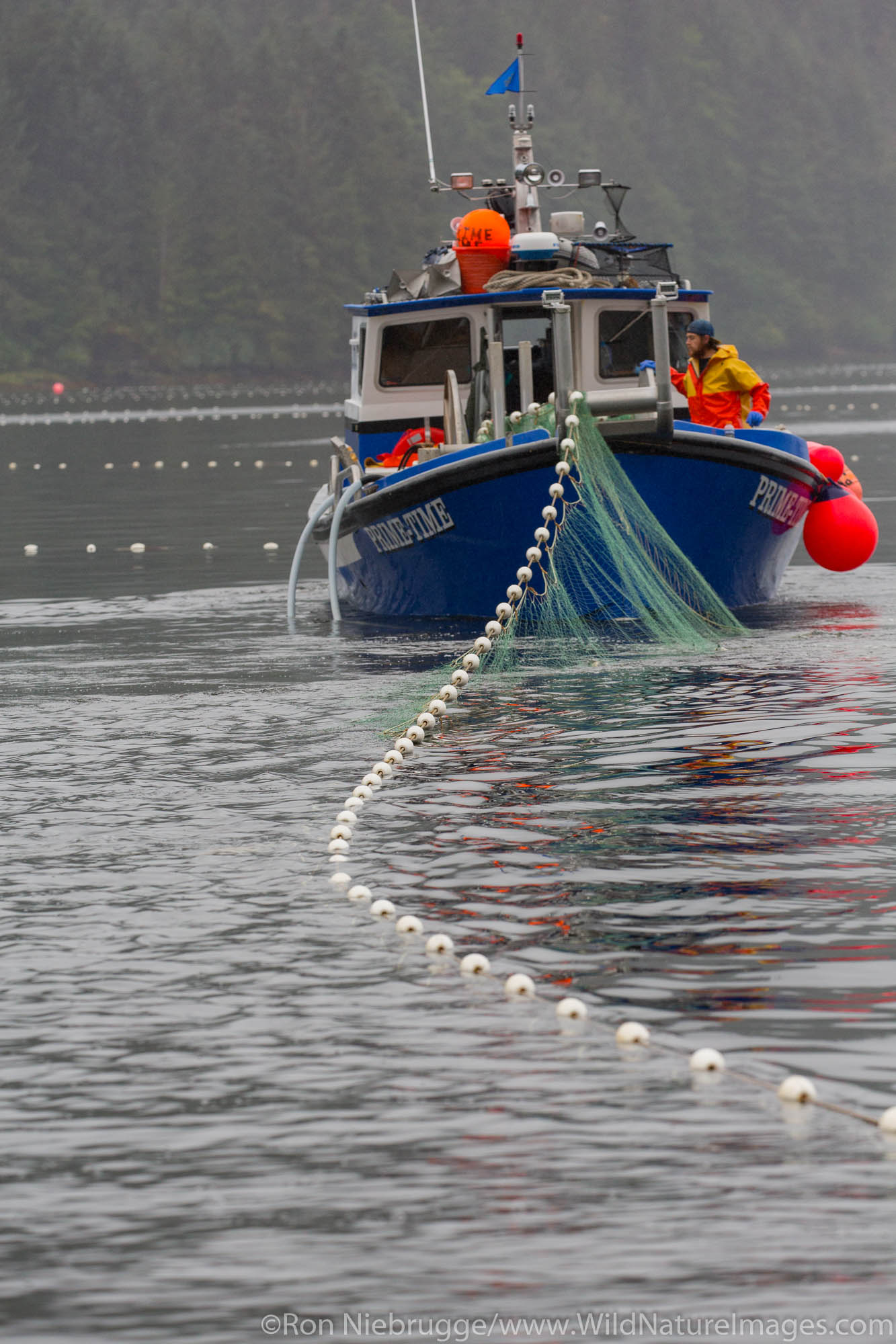 Bow-picker fising boat at Neets Bay, Tongass National Forest, Alaska.