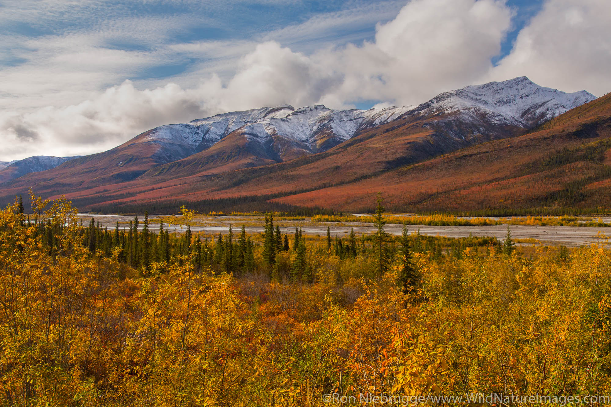 Autumn colors along the Dalton Highway, Alaska.