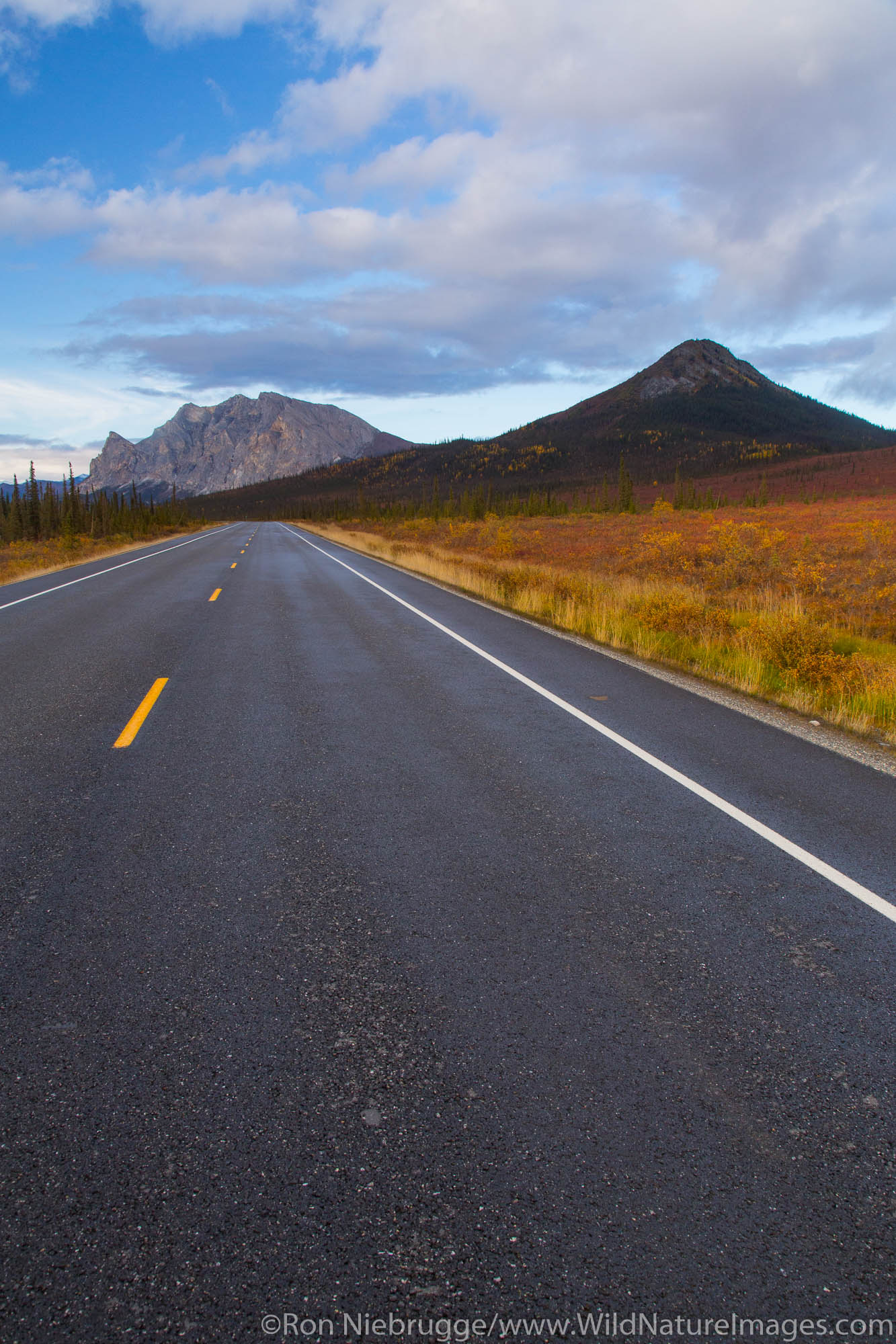 Autumn colors along the Dalton Highway, Alaska.